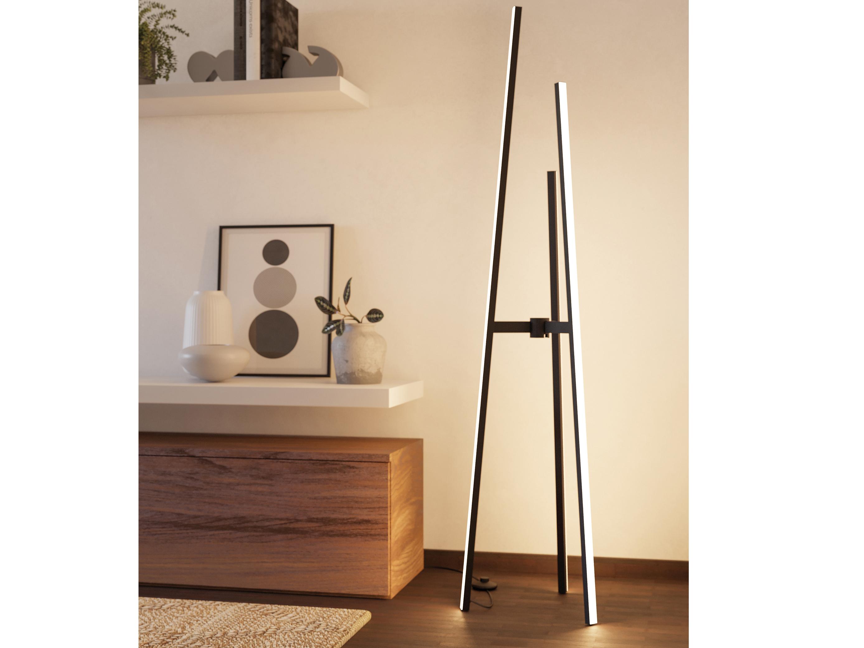 Eglo Mongolana Black Floor Lamp