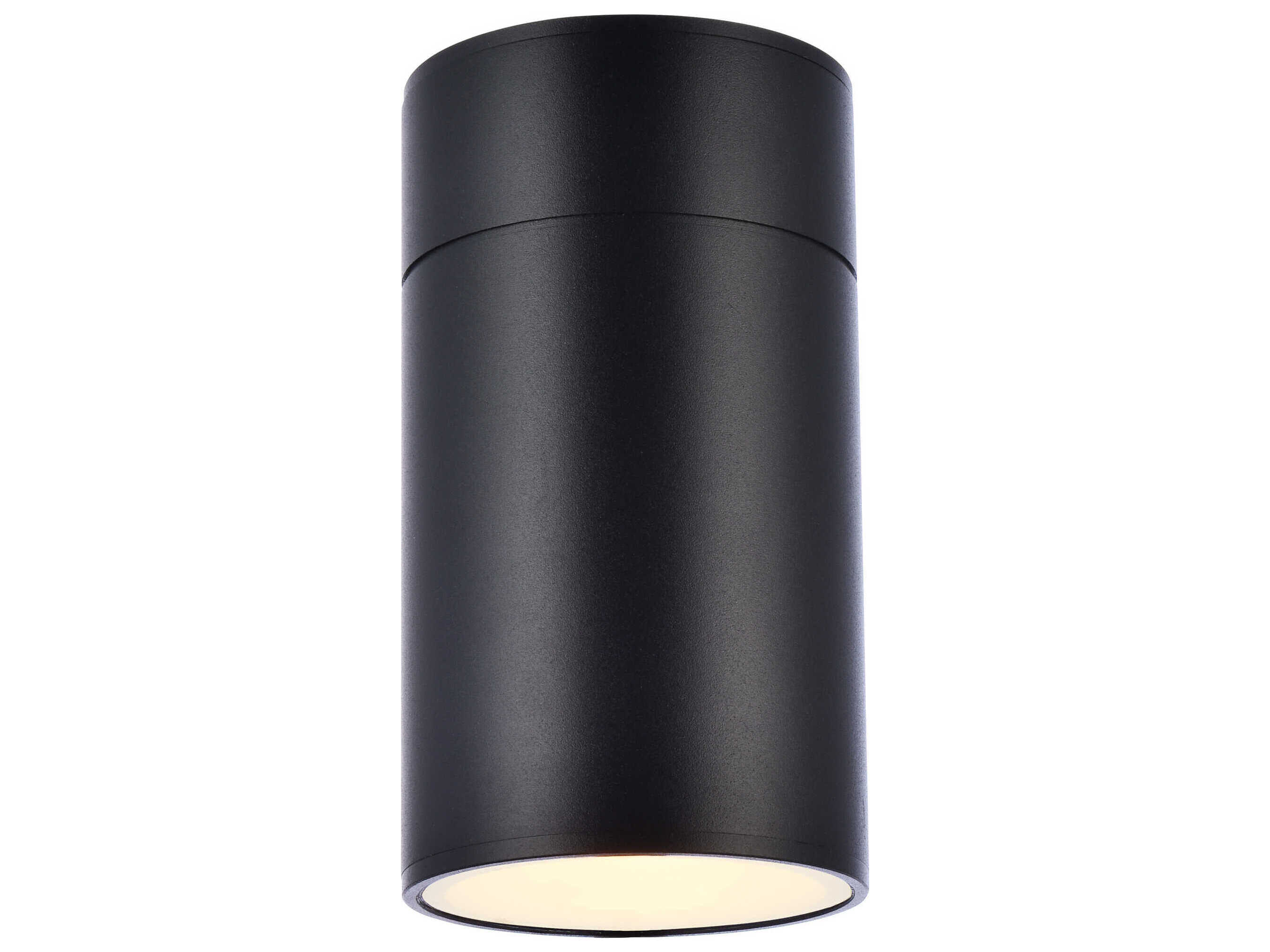 Elegant Lighting Raine Glass LED Outdoor Wall Light