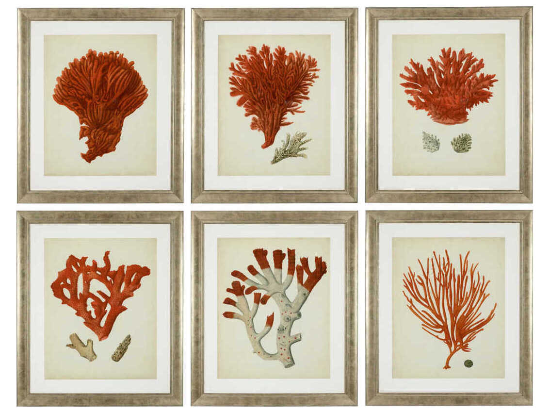 Eichholtz Set of 6 Print Antique Red Corals