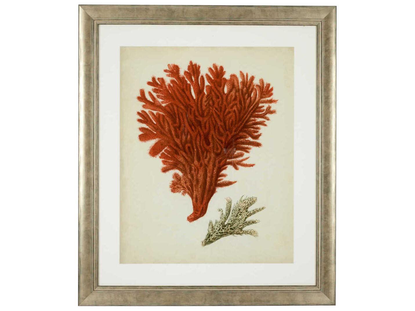 Eichholtz Set of 6 Print Antique Red Corals