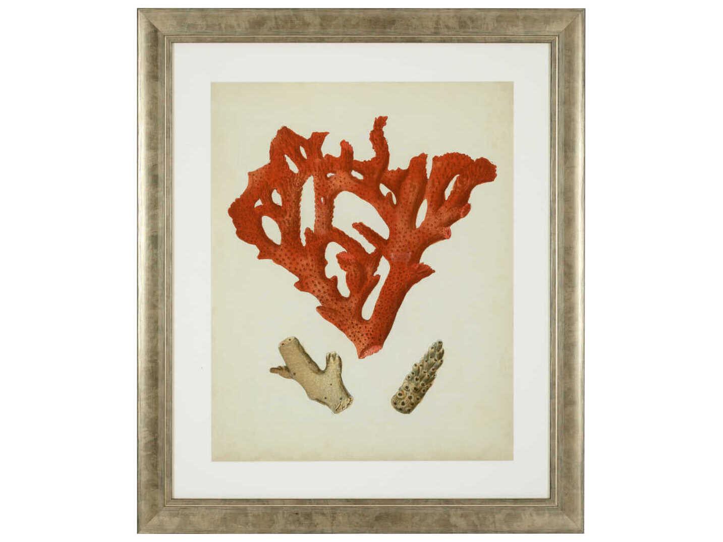 Eichholtz Set of 6 Print Antique Red Corals