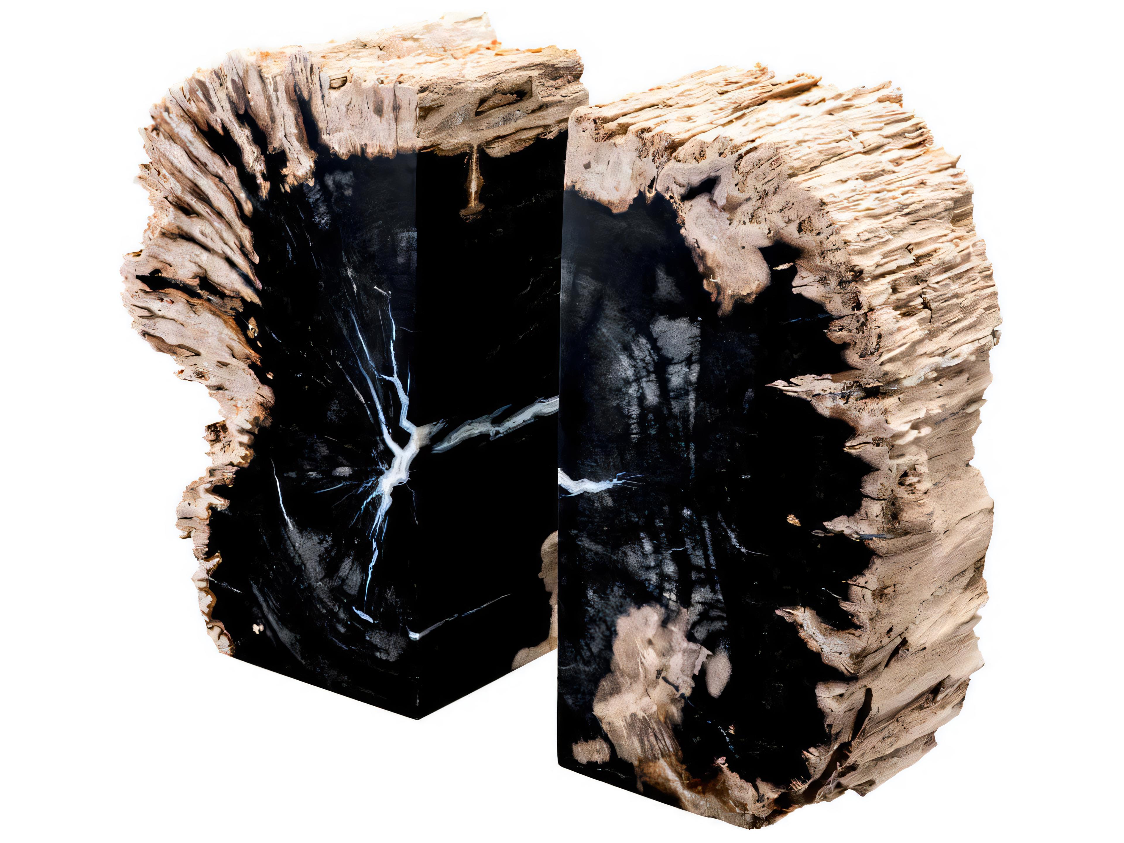 Eichholtz Opia Petrified Wood Set of 2 Bookend