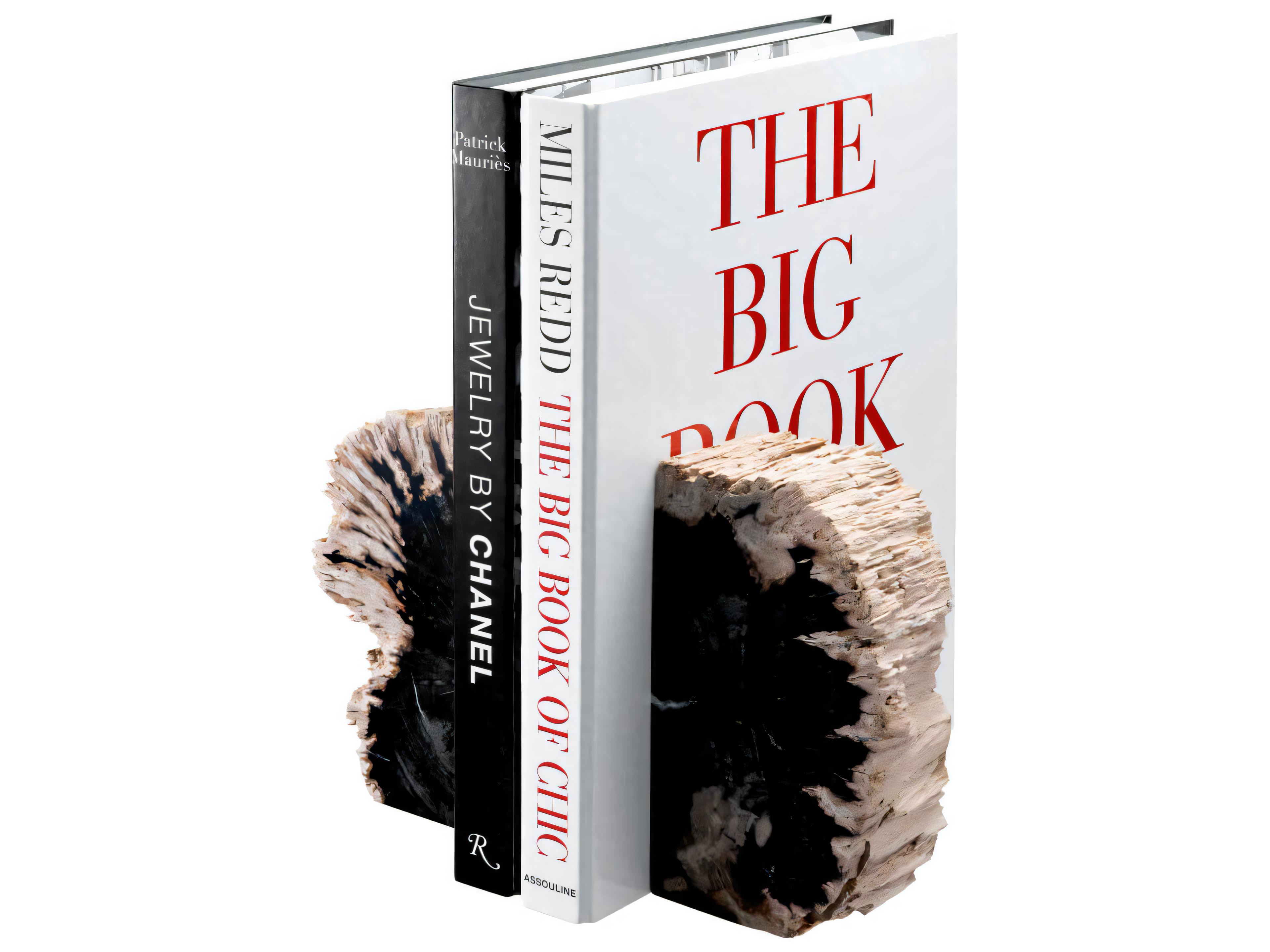 Eichholtz Opia Petrified Wood Set of 2 Bookend