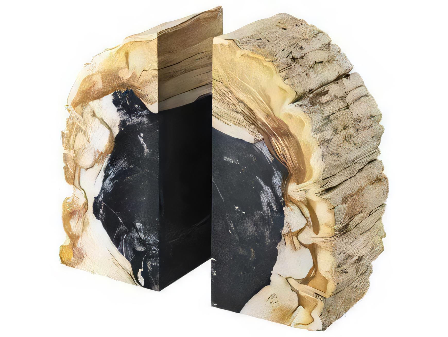 Eichholtz Opia Petrified Wood Set of 2 Bookend
