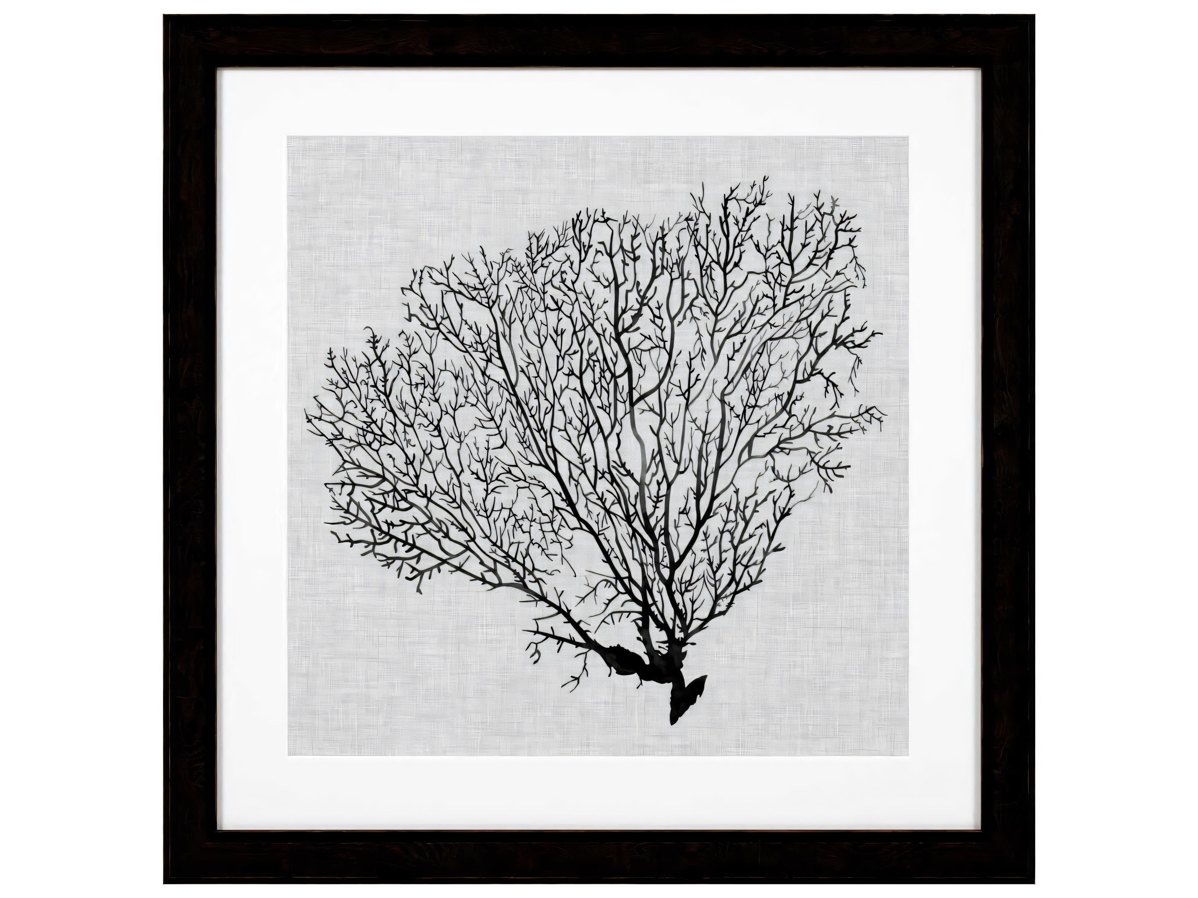 Eichholtz Set of 4 Print Shadow Sea Fans