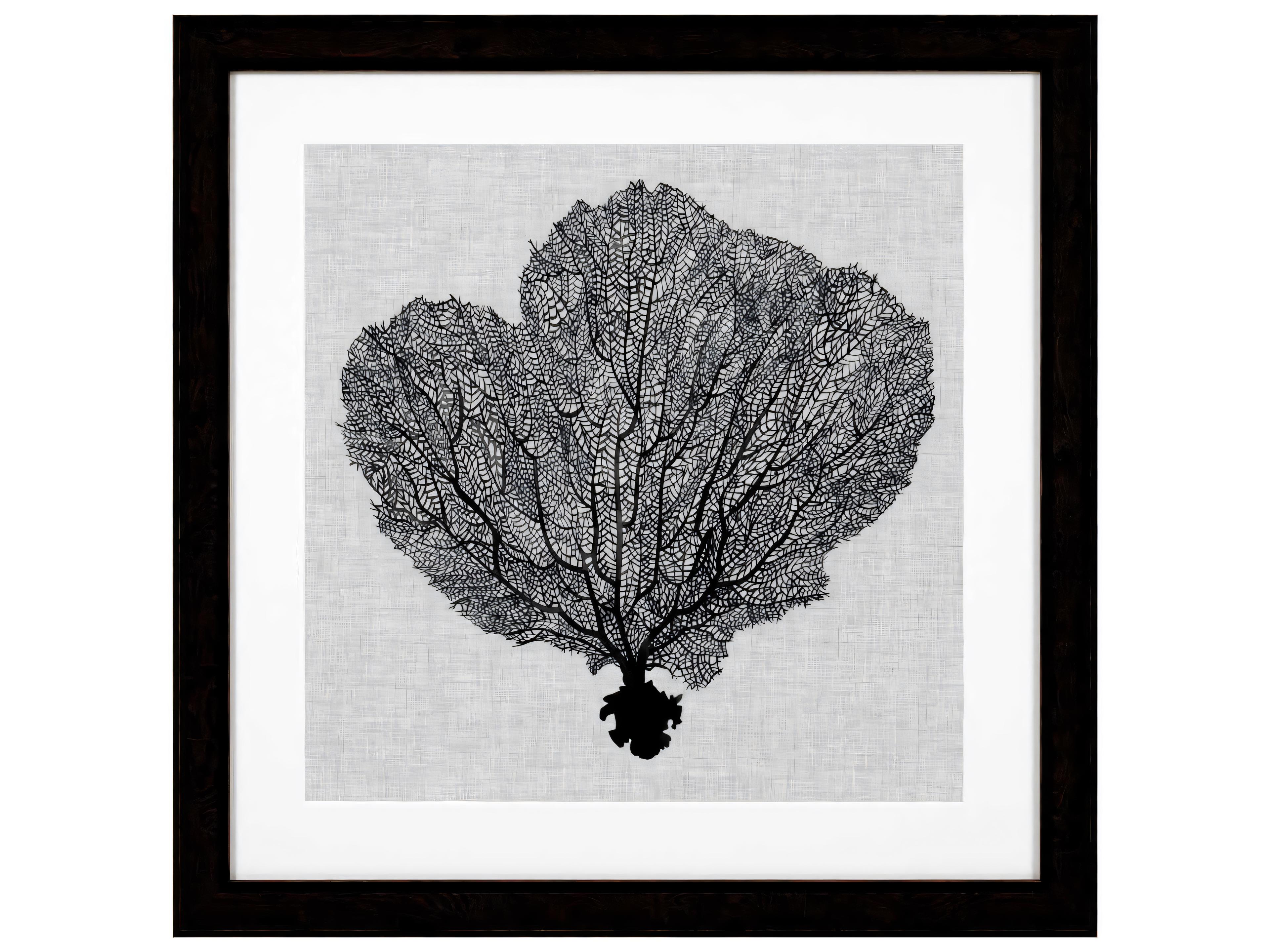 Eichholtz Set of 4 Print Shadow Sea Fans