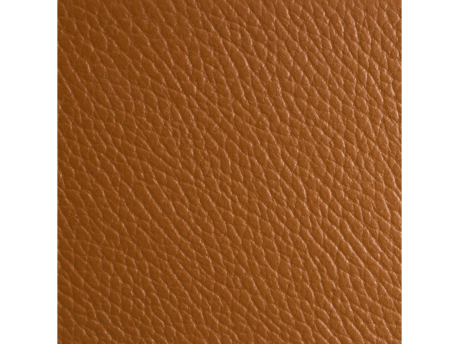 Eichholtz Monarch Brown Leather Butler Tray