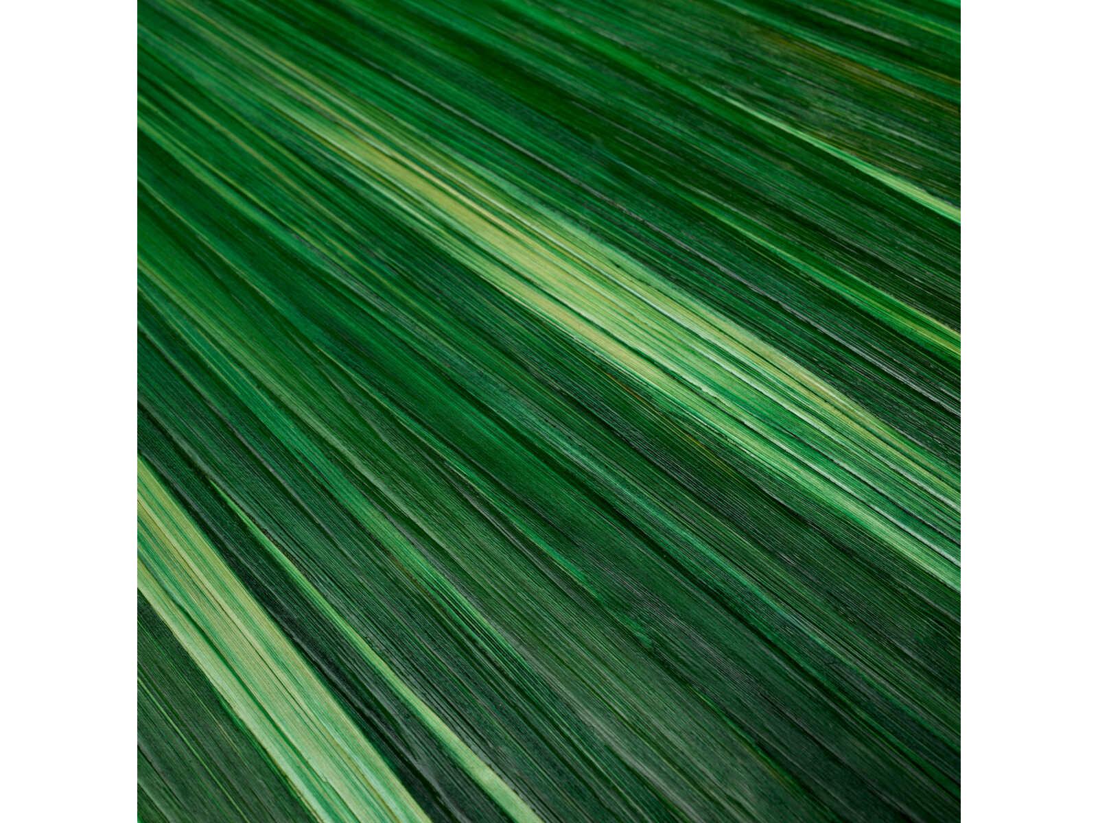 Eichholtz Harvard Straw Marquetry Green Box