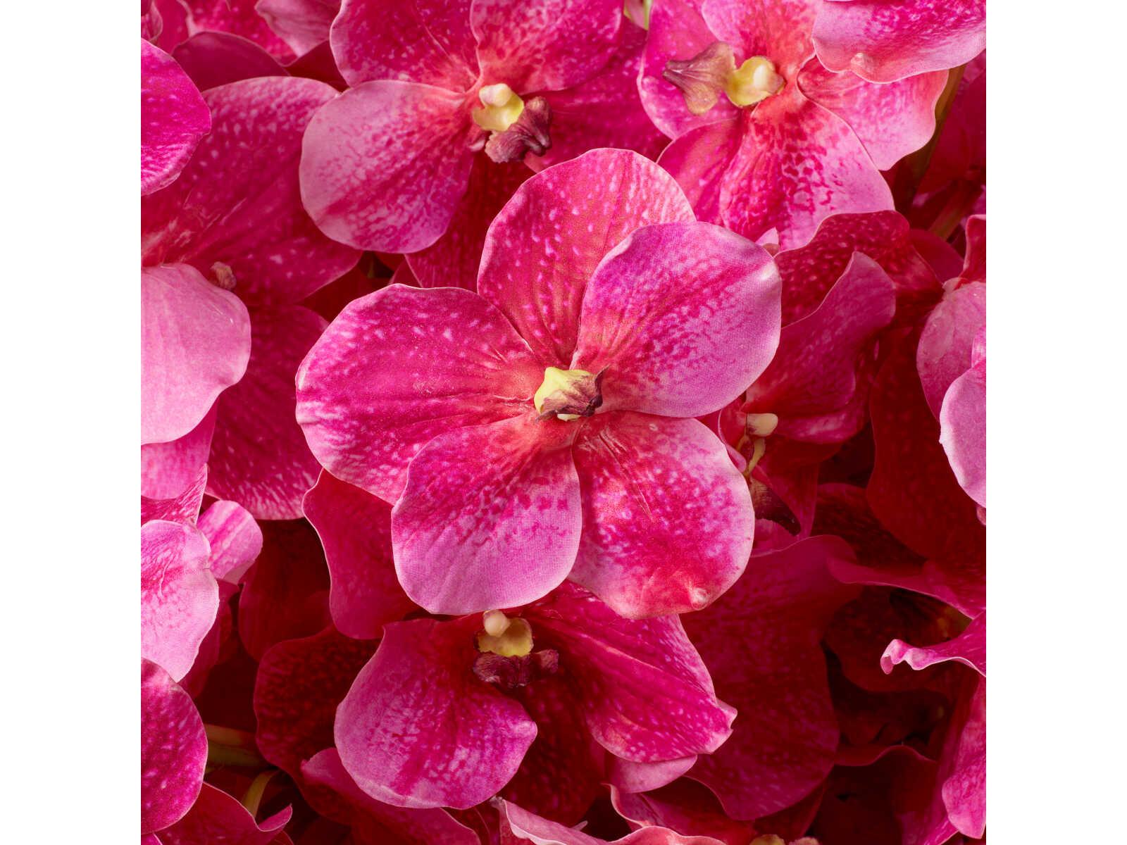 Eichholtz Vanda Orchids Of Pink Real Touch Pcs Bouquet