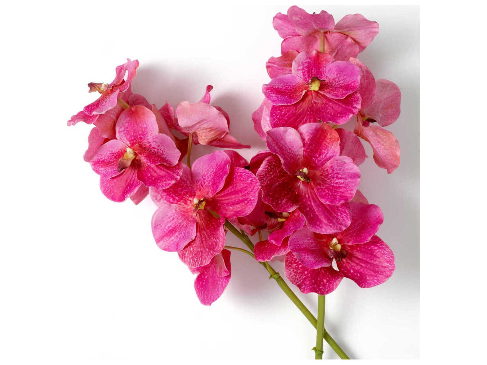 Eichholtz Vanda Orchids Of Pink Real Touch Pcs Bouquet
