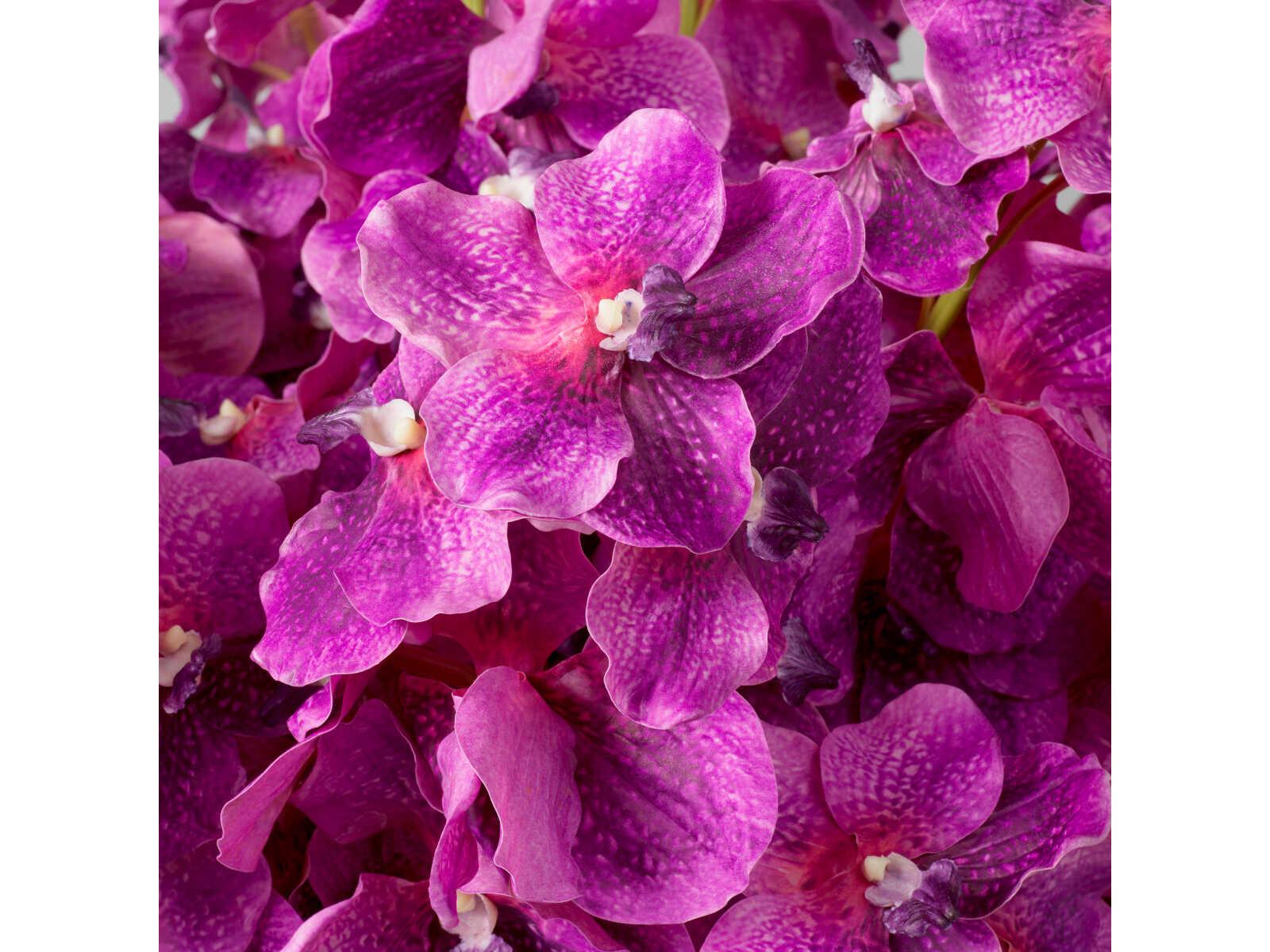 Eichholtz Vanda Orchids Of Fuchsia Real Touch Pcs Bouquet