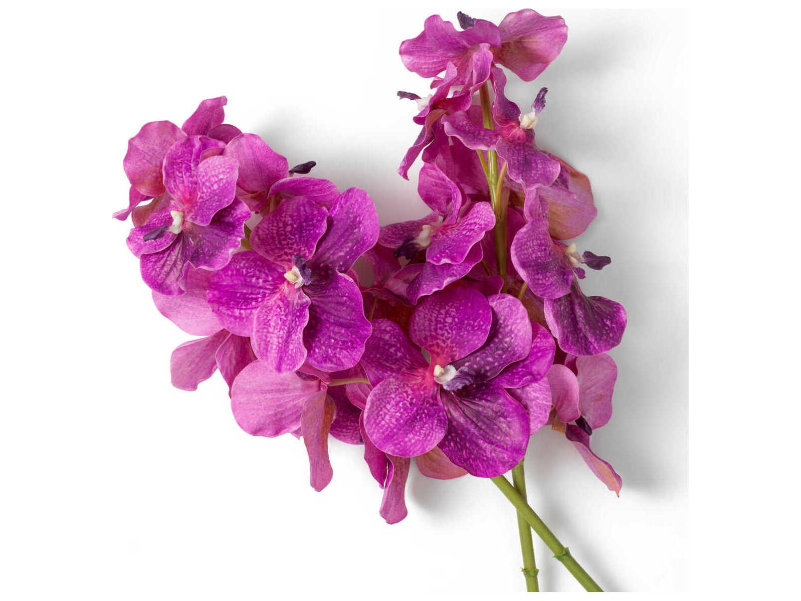 Eichholtz Vanda Orchids Of Fuchsia Real Touch Pcs Bouquet