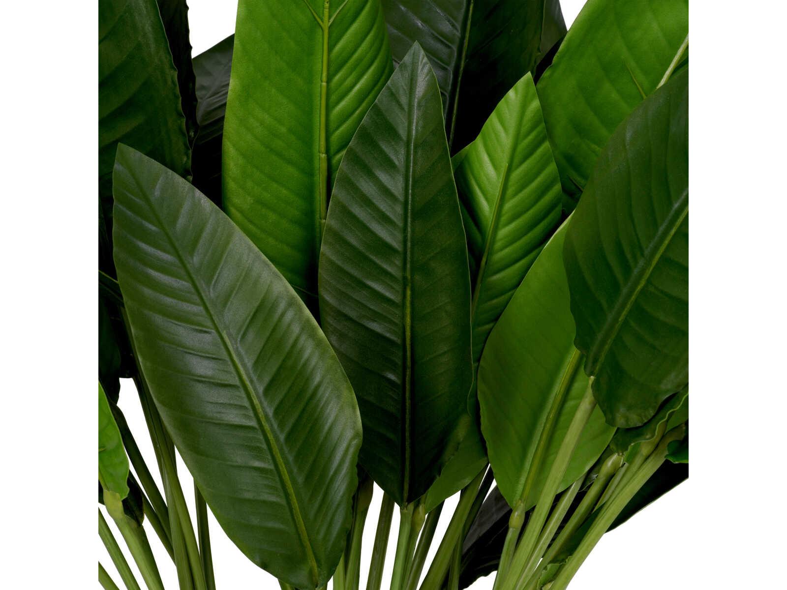 Eichholtz Strelitzia Of Leaves Pcs Bundle