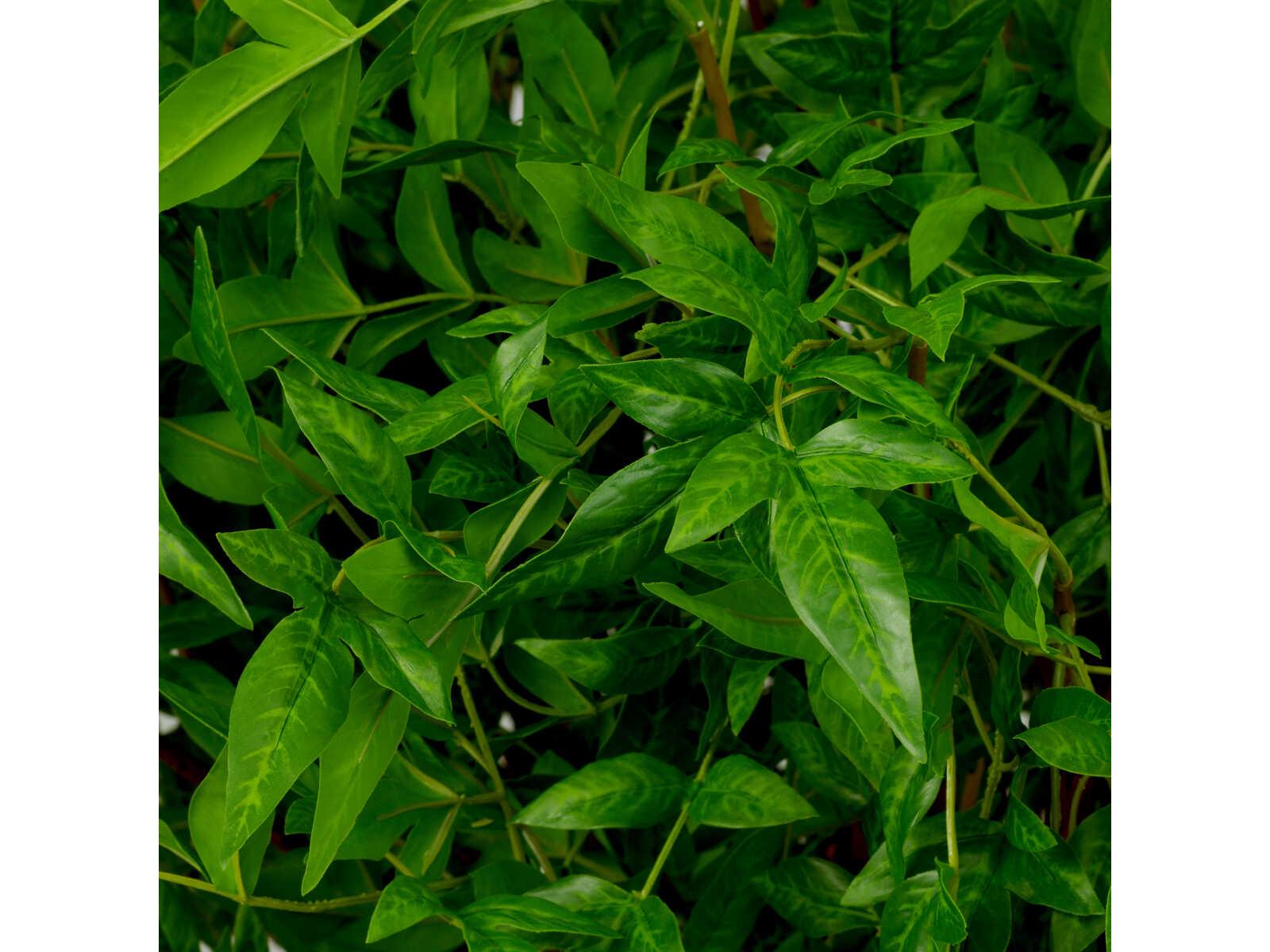 Eichholtz Tender Of Leaves Pcs Bundle