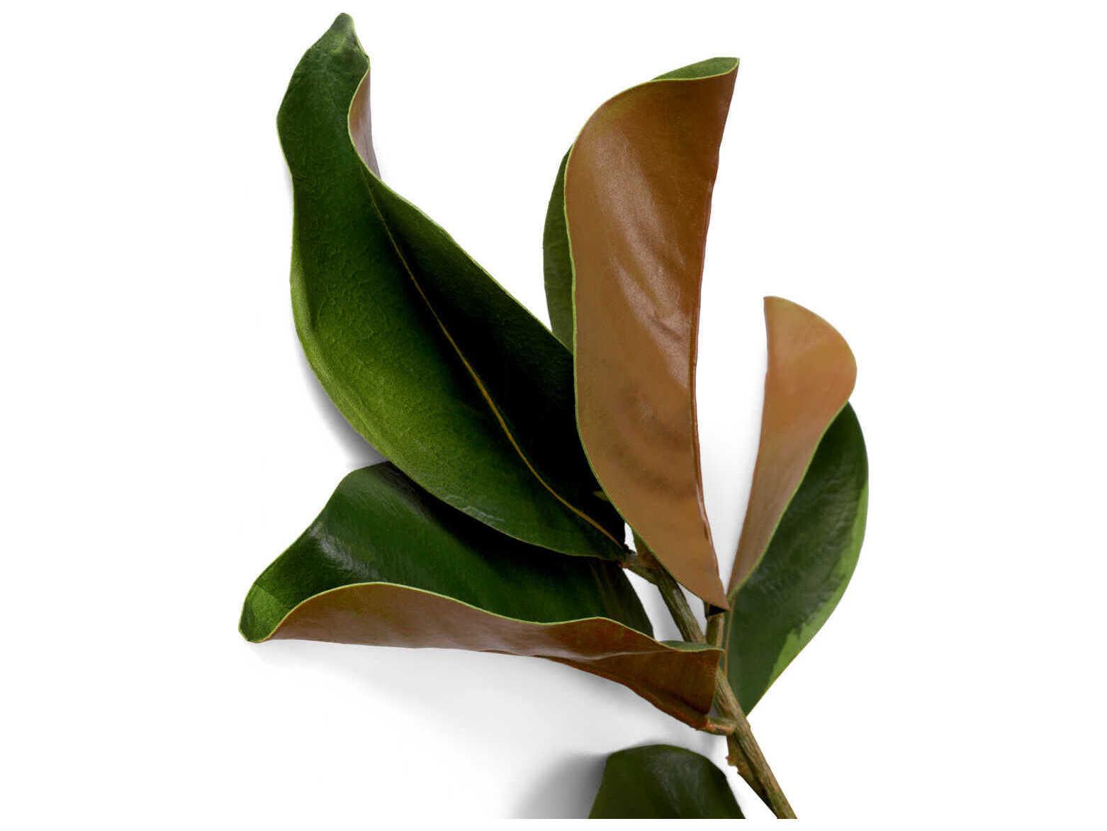 Eichholtz Magnolia Of Leaves Pcs Bundle