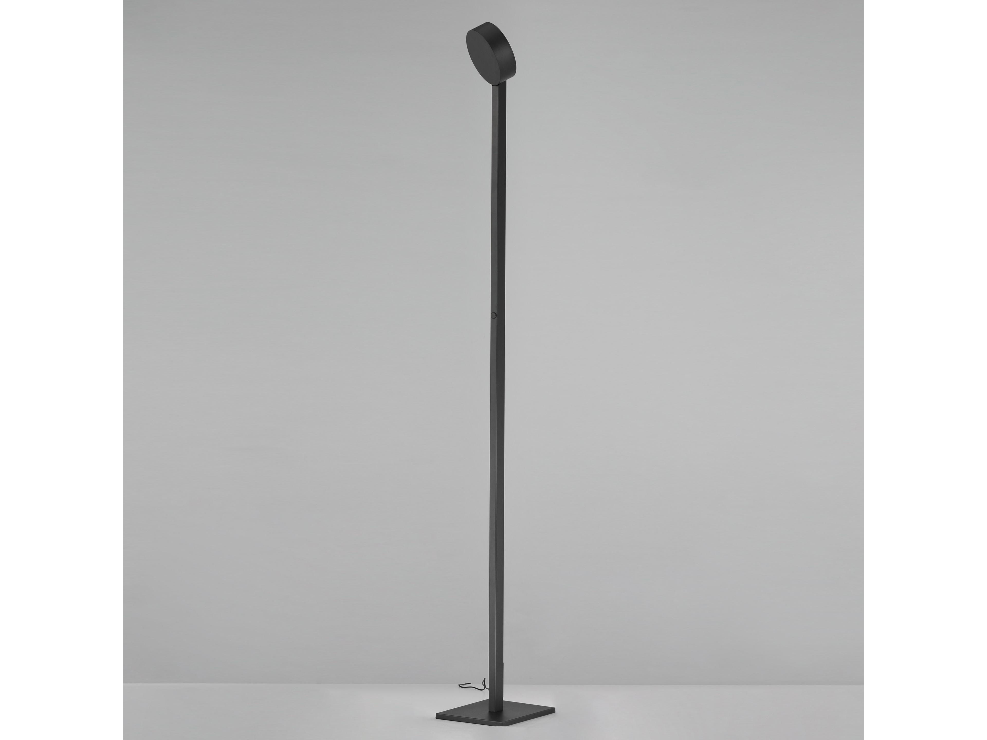 ET2 Embrace Black Floor Lamp