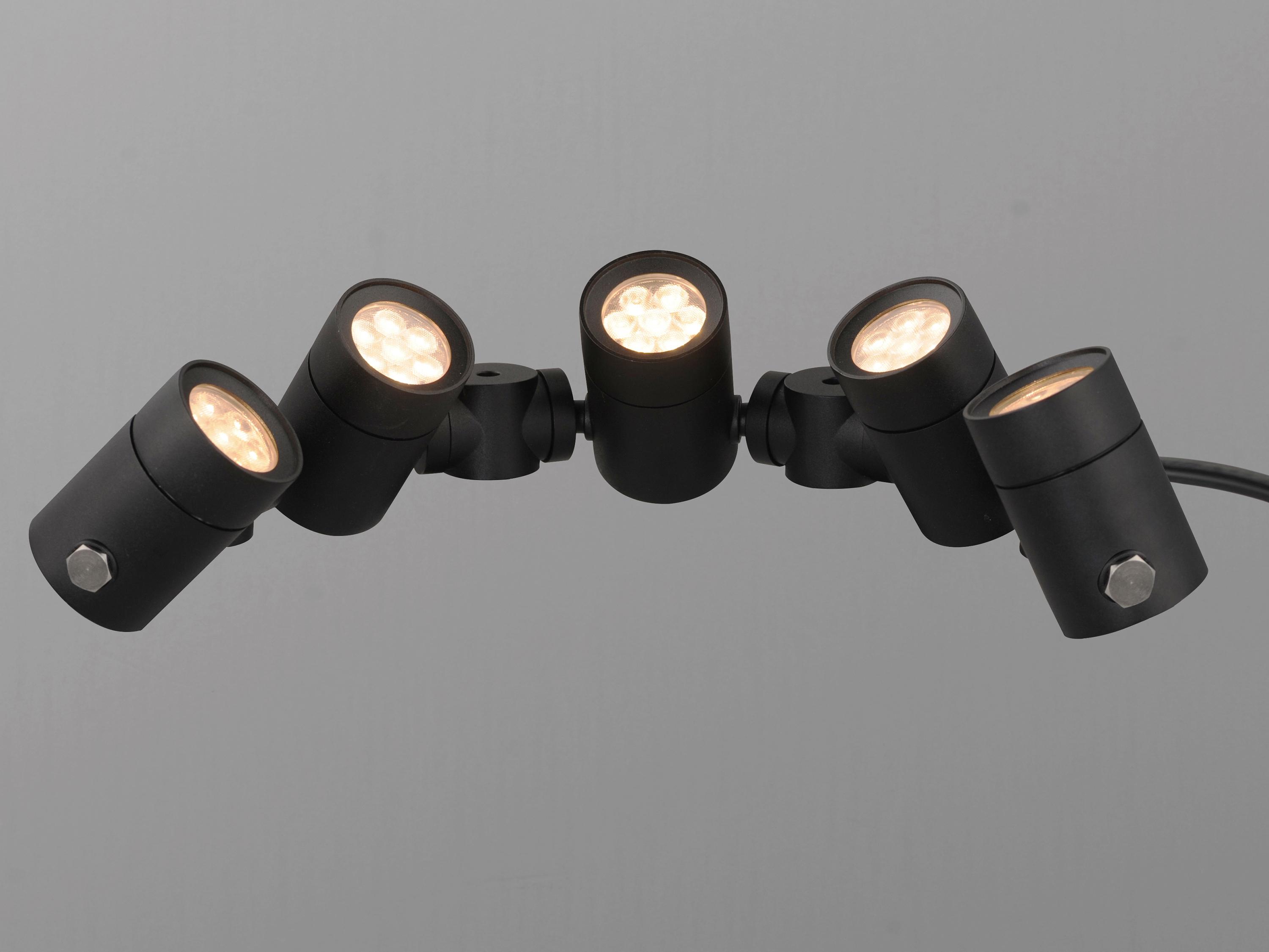 ET2 Tree Hugger 5-Light Outdoor Spot Light