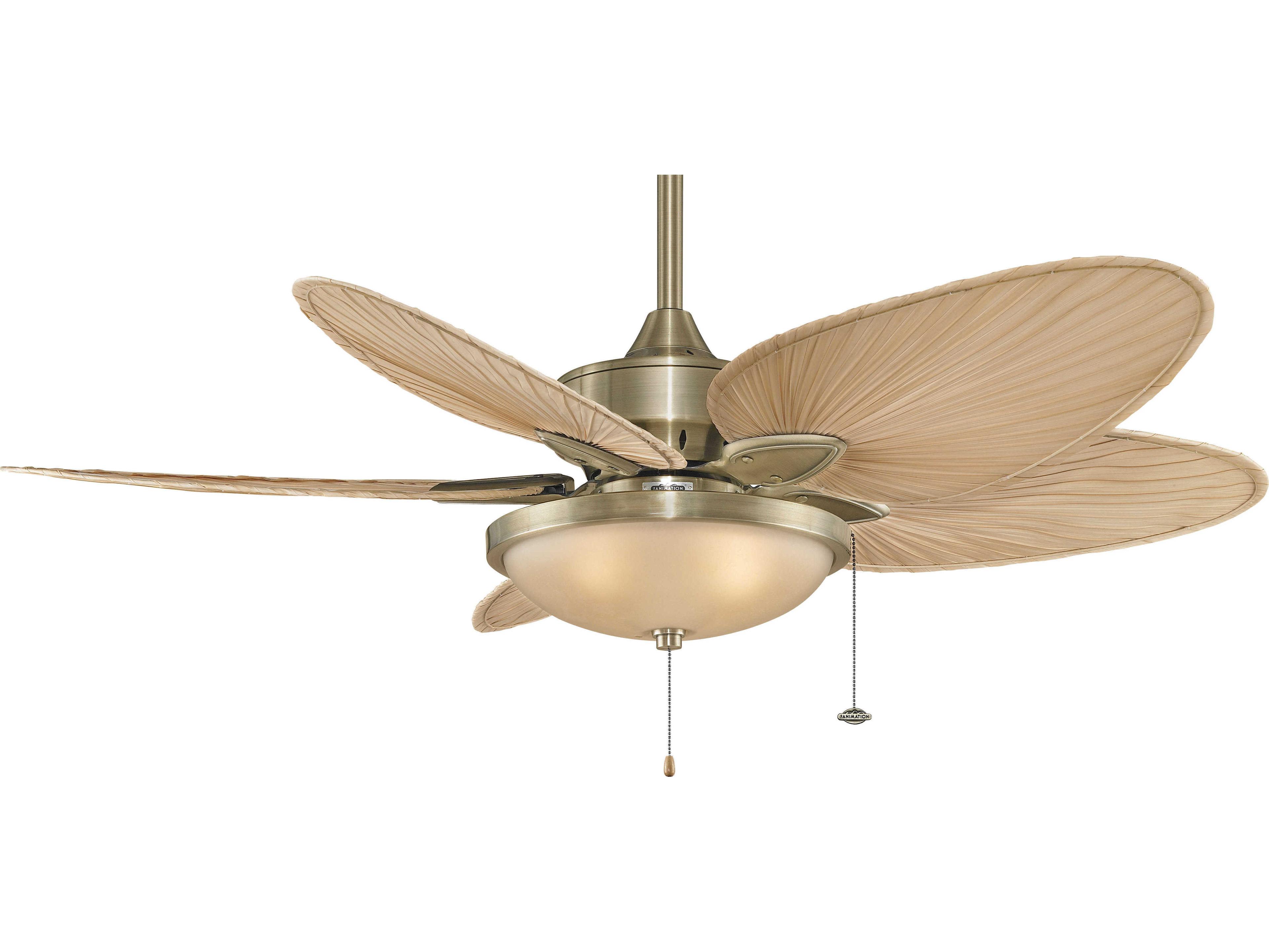 Fanimation Windpointe Outdoor Ceiling Fans