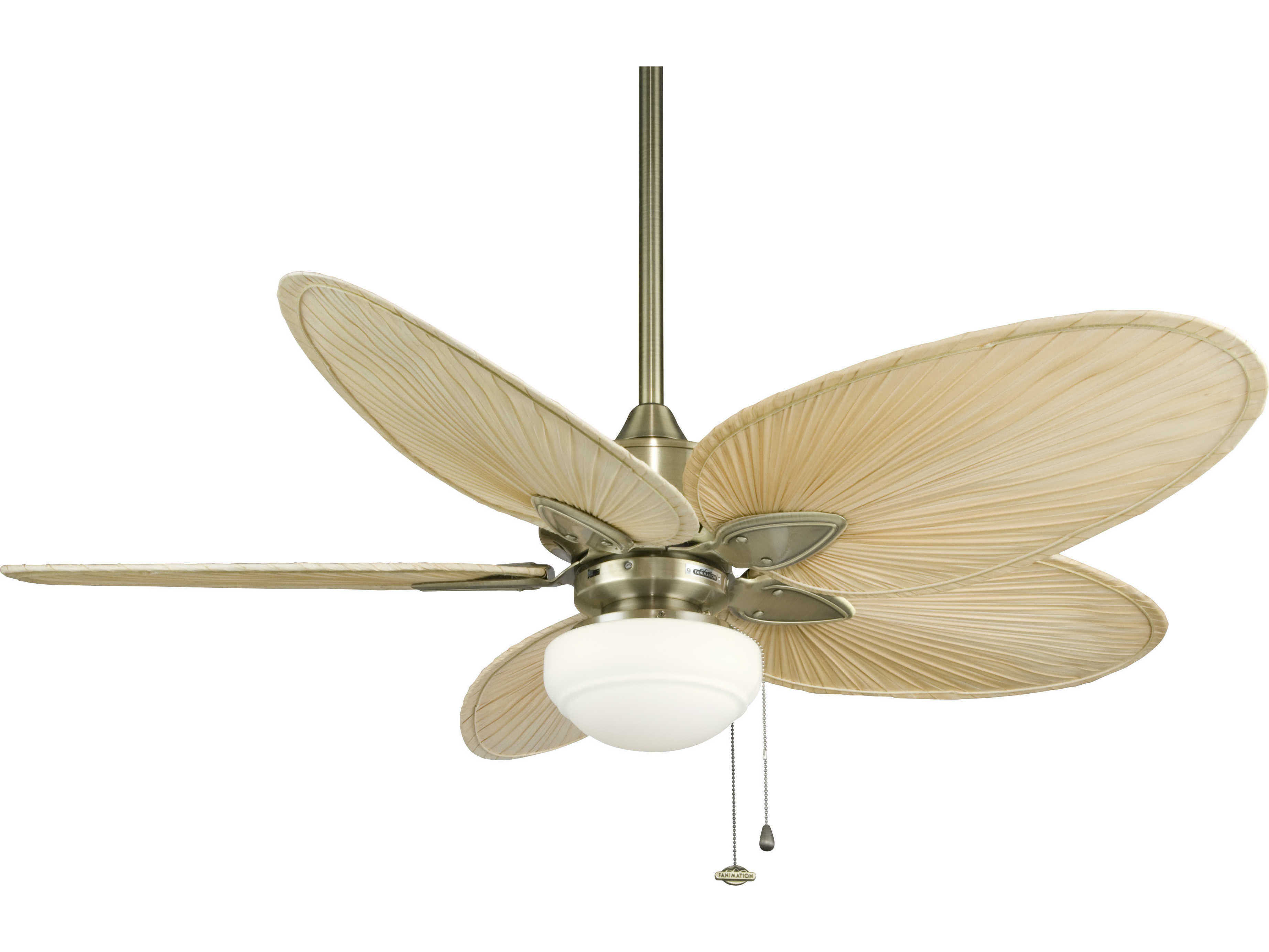 Fanimation Windpointe Outdoor Ceiling Fans