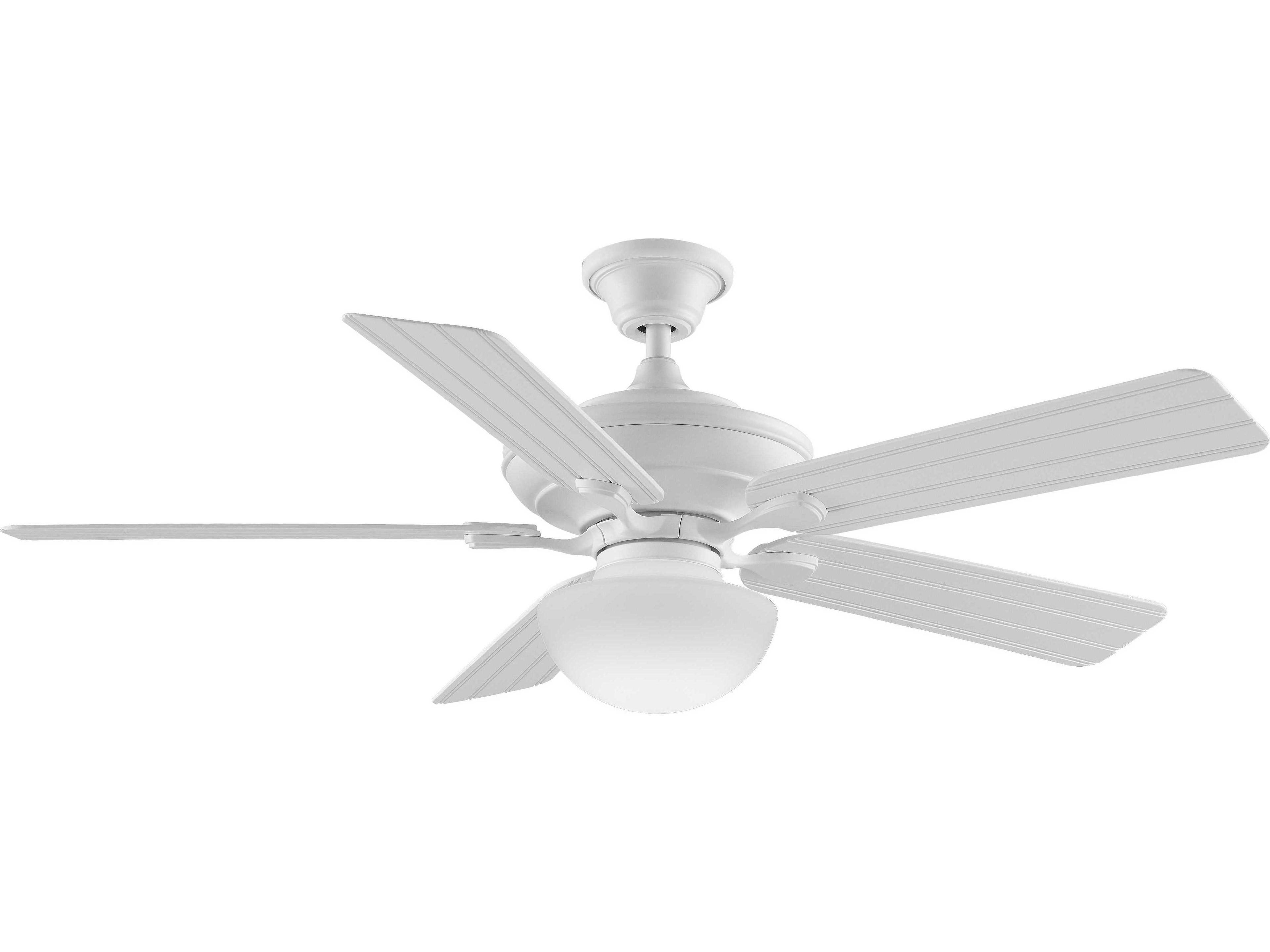 Fanimation Glass Globe