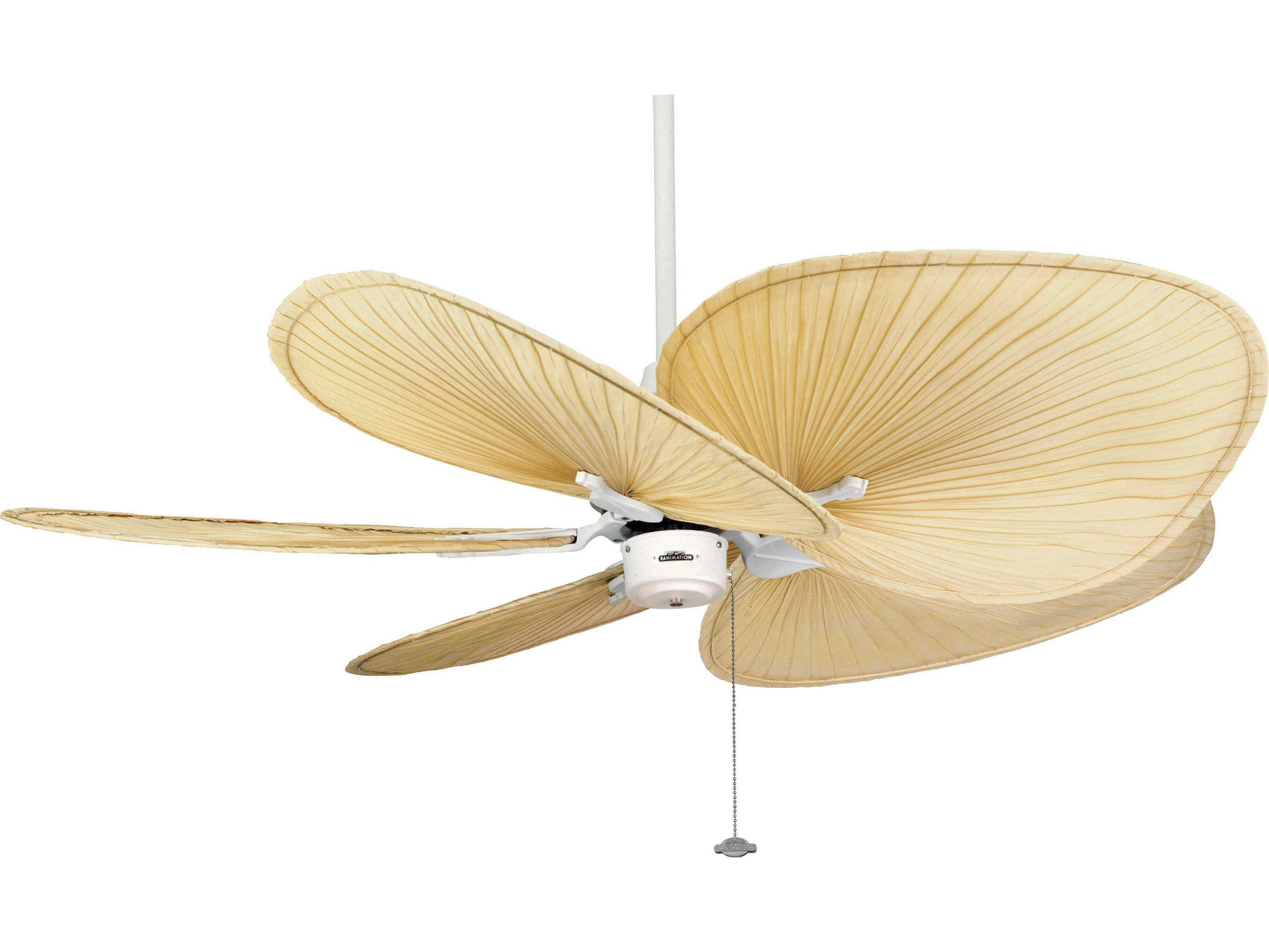 Fanimation Palm 22" Oval Fan Blade Set of 5