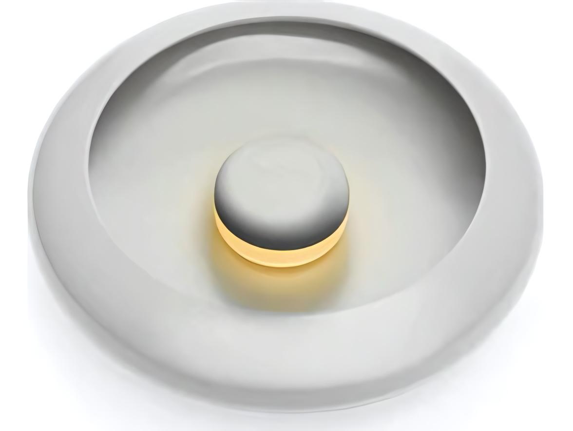 Fatboy Outdoor Oloha Small Wireless Hanging Lamp Bowl in Anthracite