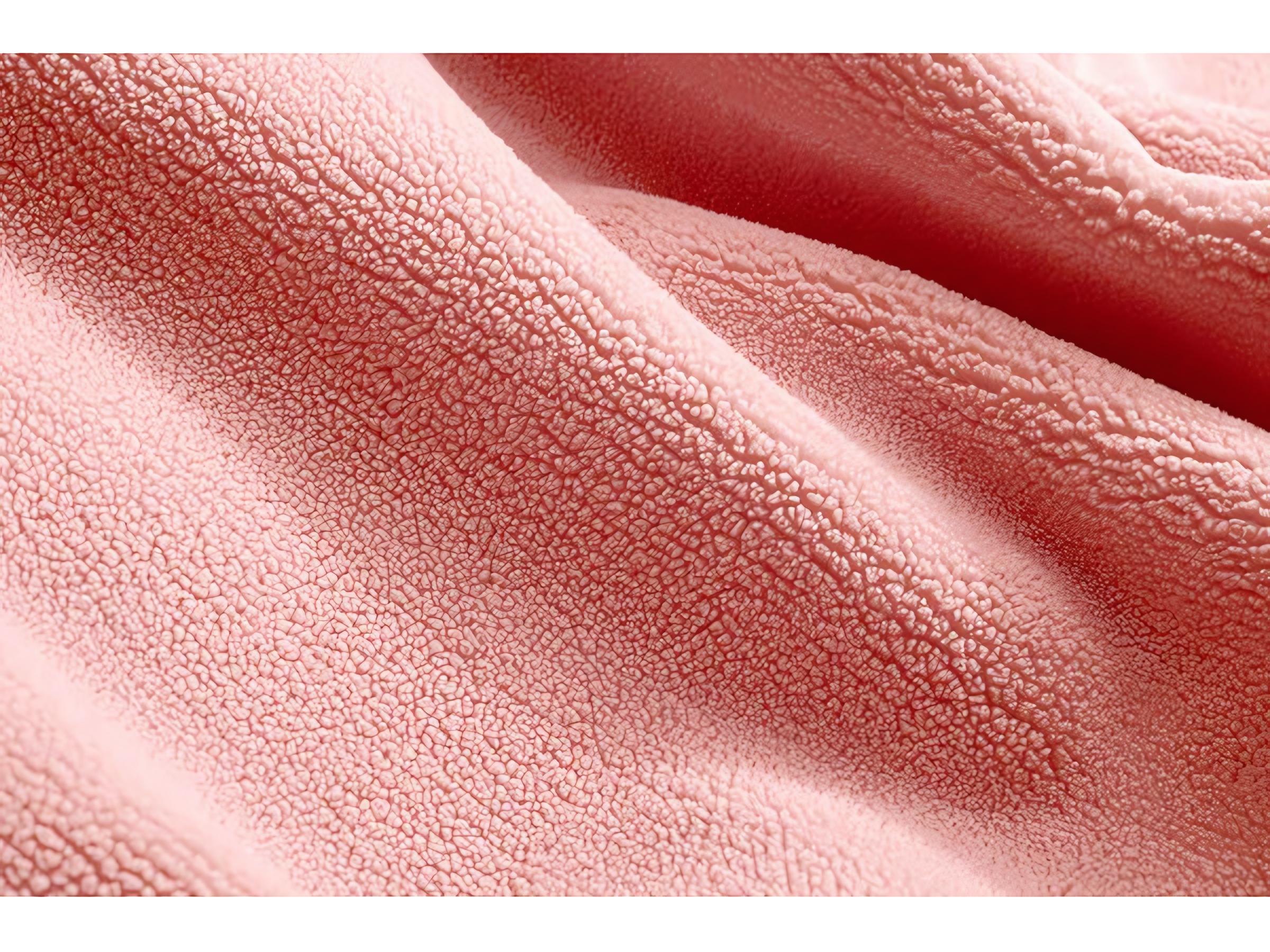 Fatboy Original Slim Teddy Bean Bag Chair in Cheeky Pink