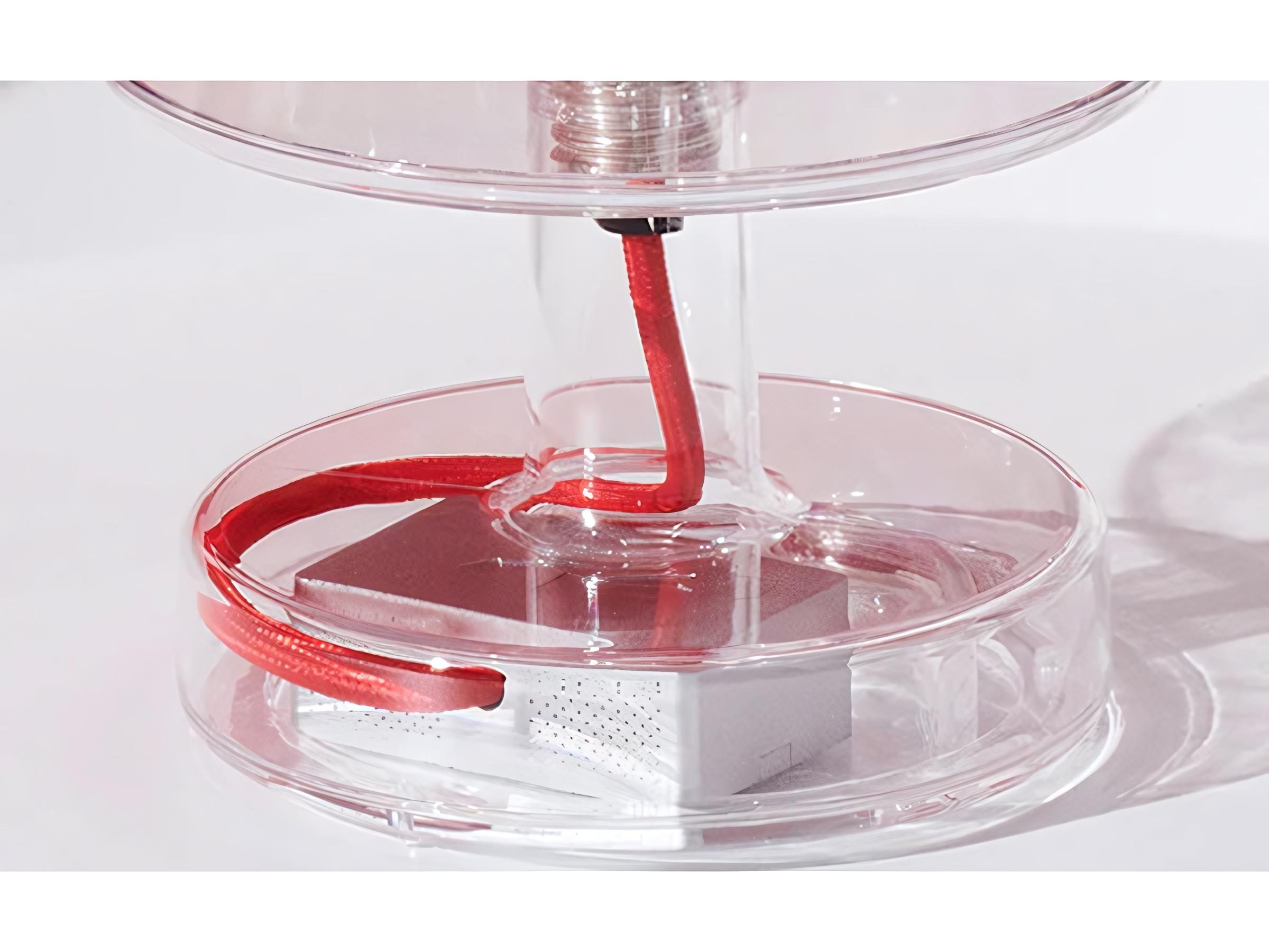 Fatboy Transloetje Table Lamp Duo Pack in Transparent