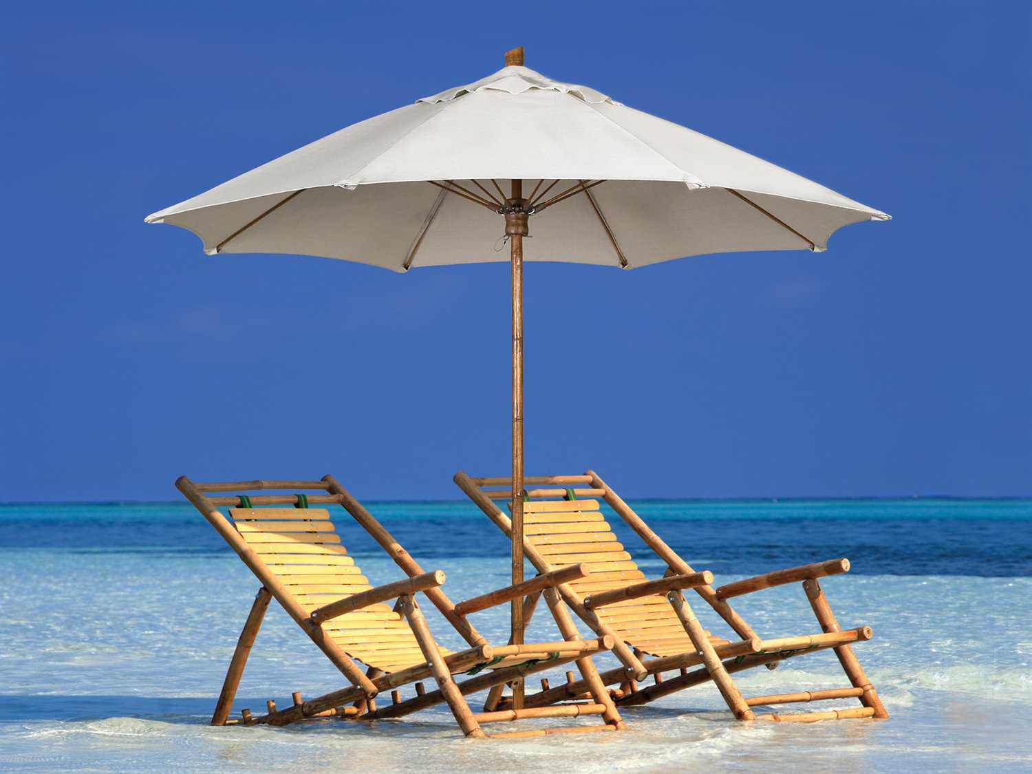 Fiberbuilt Bambusa Fiber Teak 9 Foot Octagon Wood Outdoor Umbrella