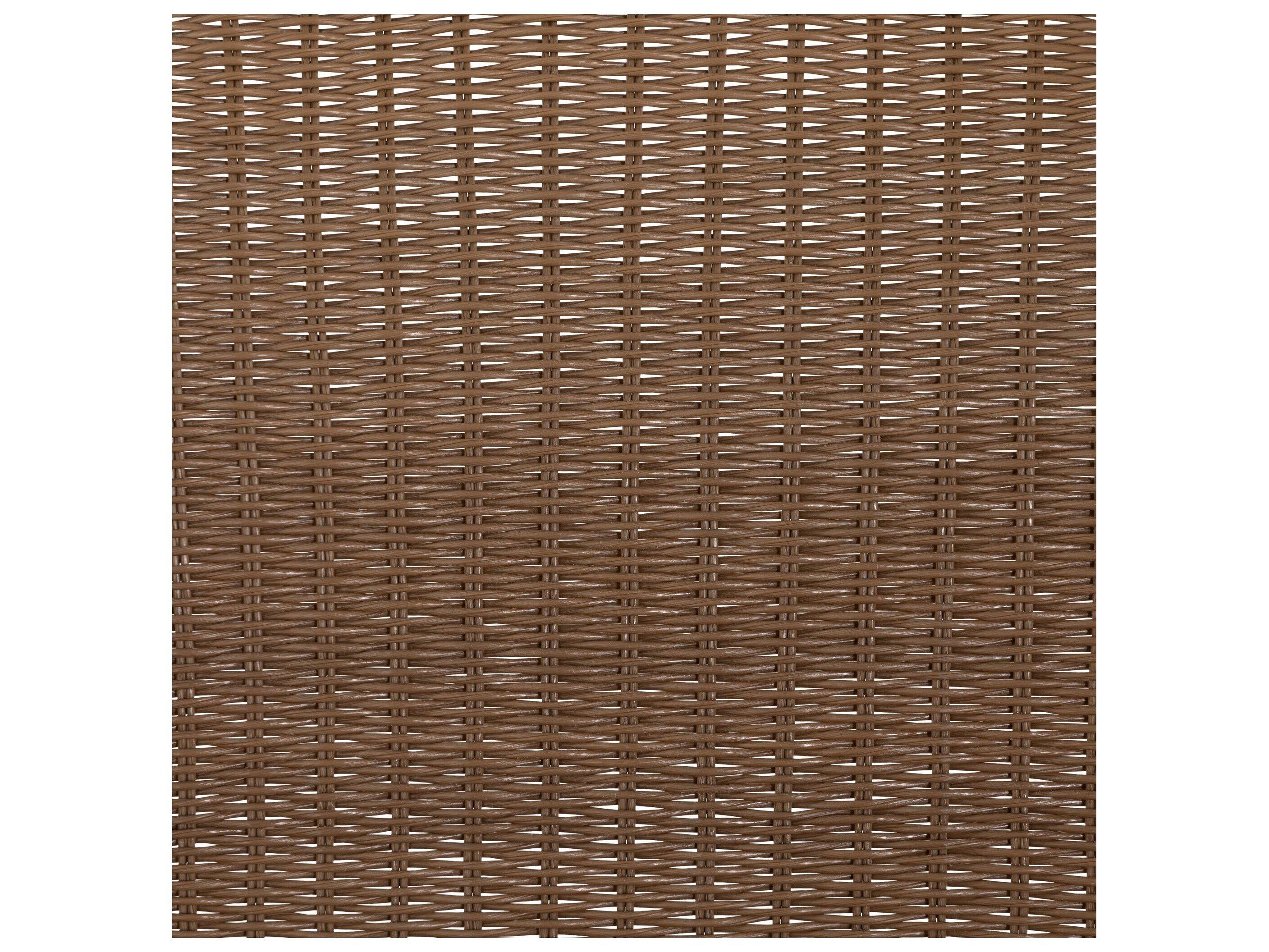 Four Hands Outdoor Grass Roots Charcoal Iron / Natural Fawn Polypropylene Dining Chair with Stinson White Cushion