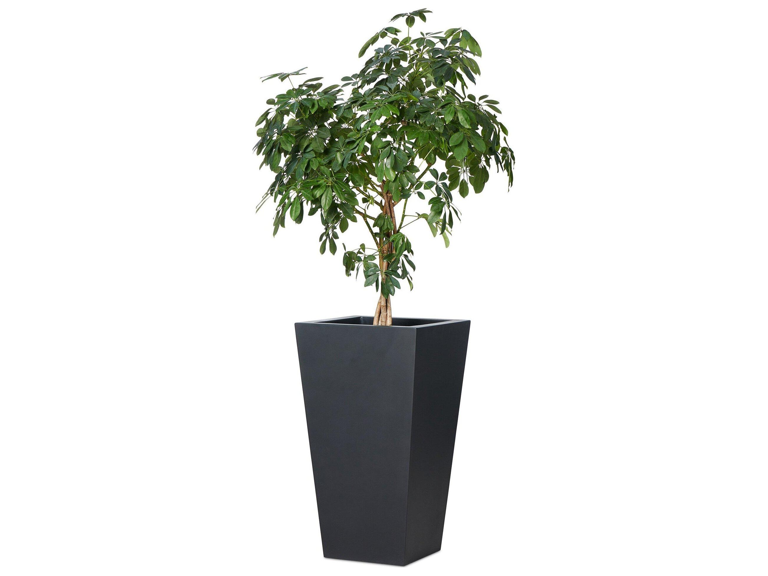 Four Hands Outdoor Thayer Black Concrete Planter