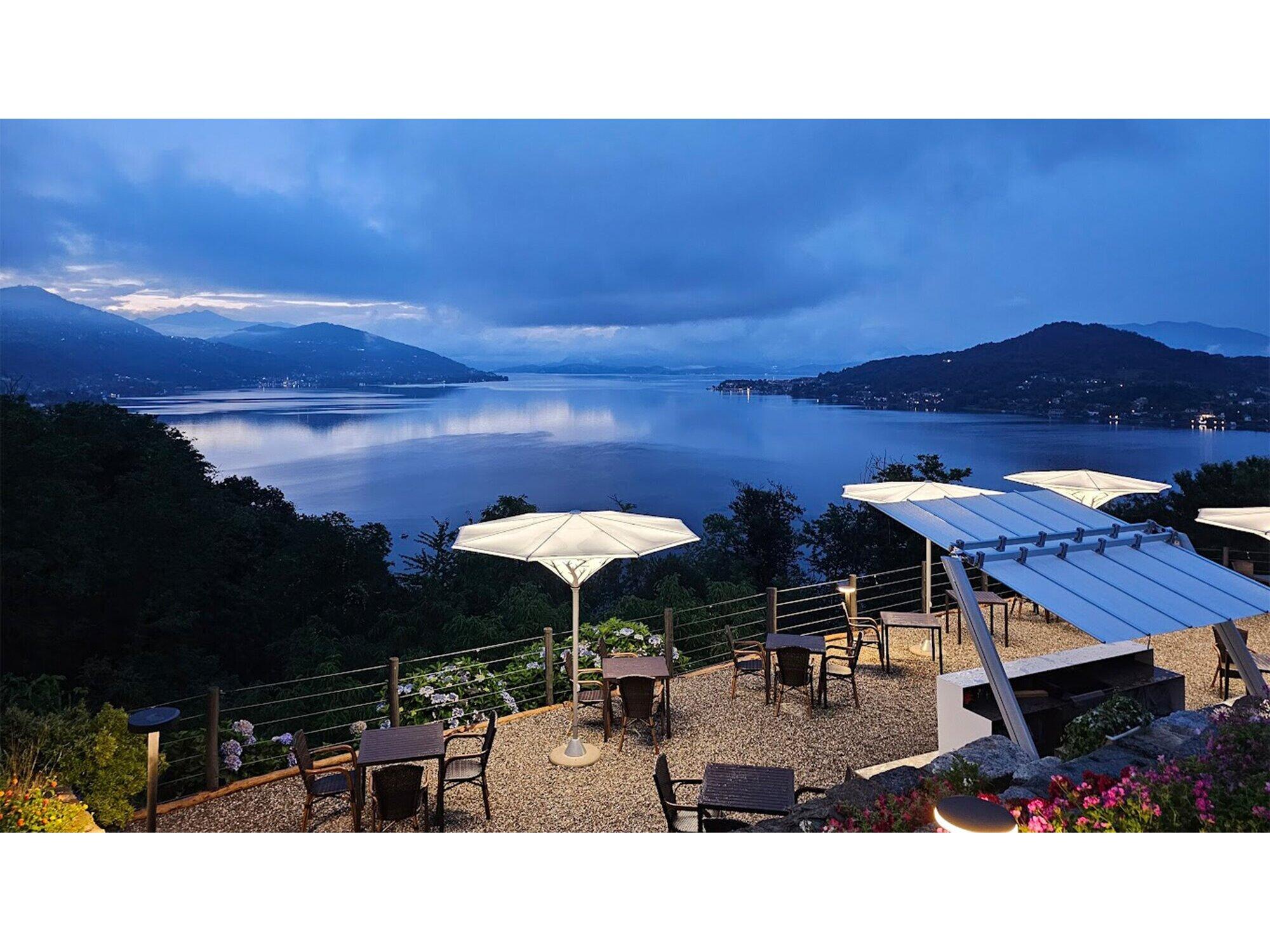 FIM Umbrellas The Plant Aluminum 10 Foot Round Crank Umbrella with Tree Printed Fabric