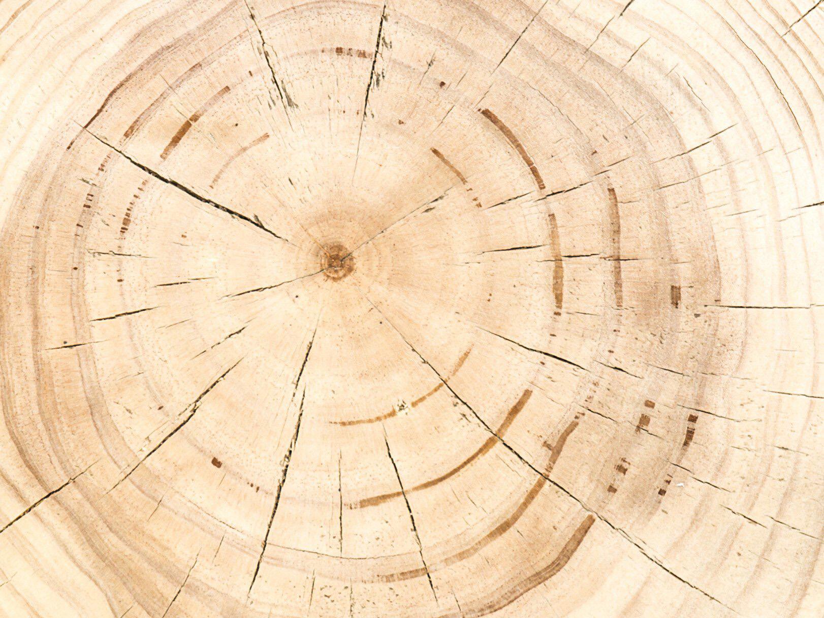 Four Hands Bishop Inez Round Wood Black Pine Natural End Table