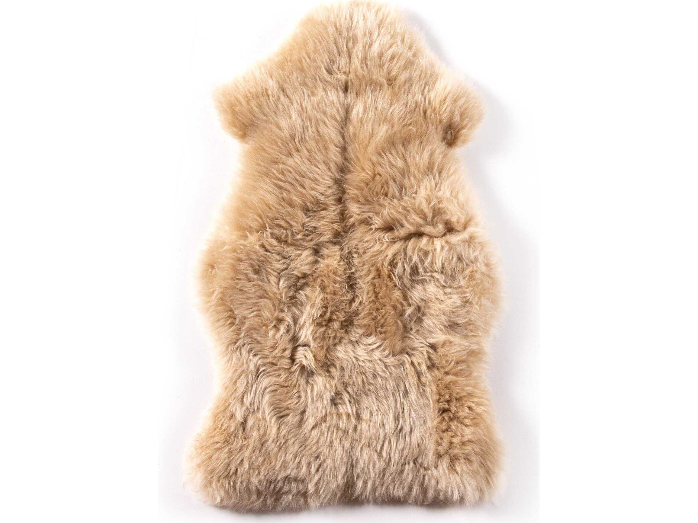 Four Hands Mateo Area Rug