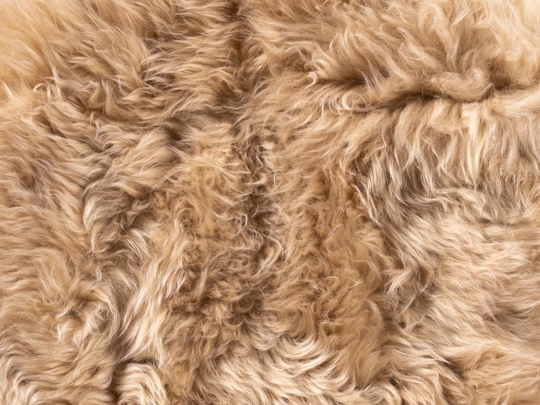 Four Hands Mateo Area Rug