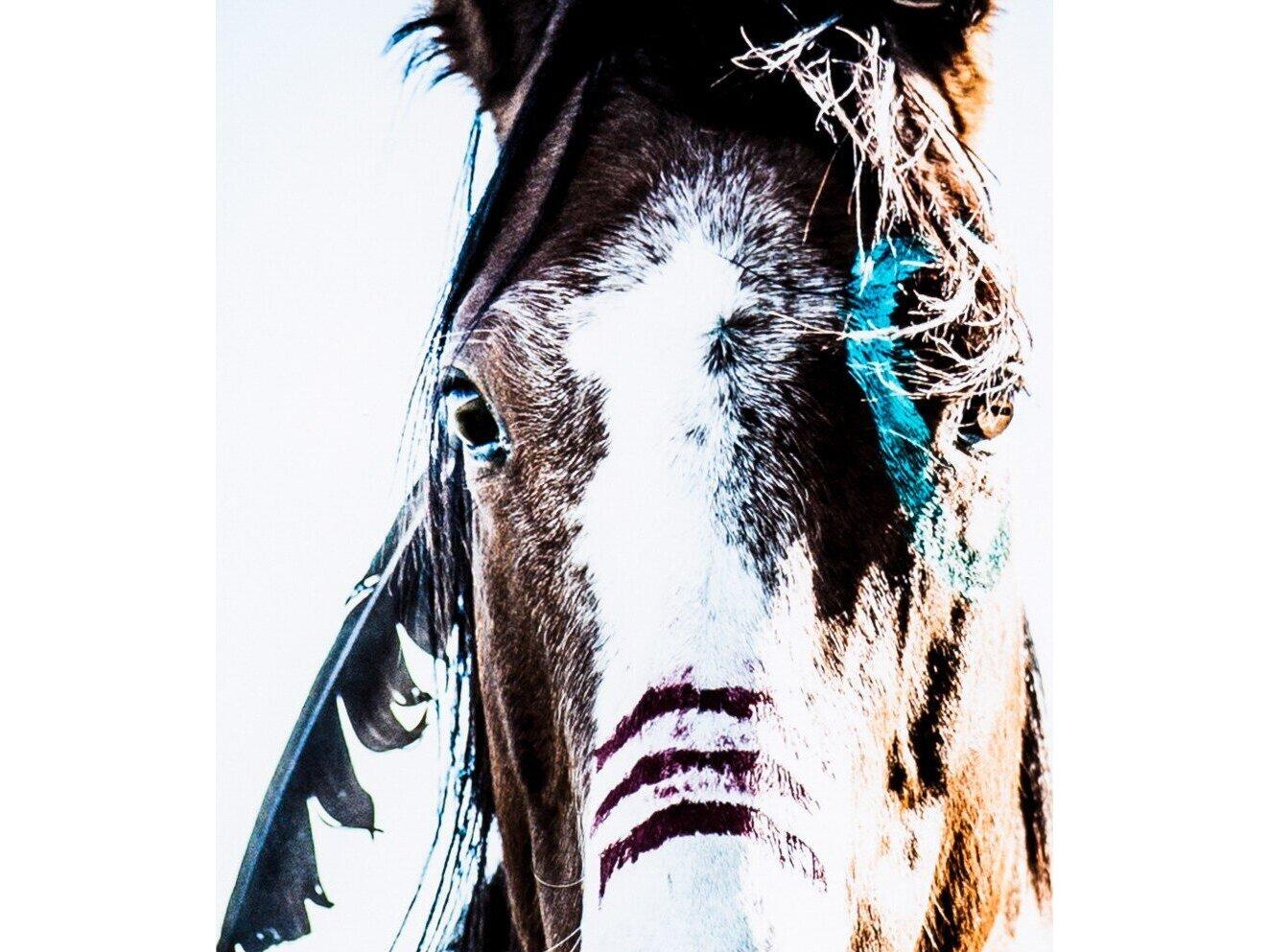 Four Hands Art Studio War Horse Walnut  Canvas Wall Art