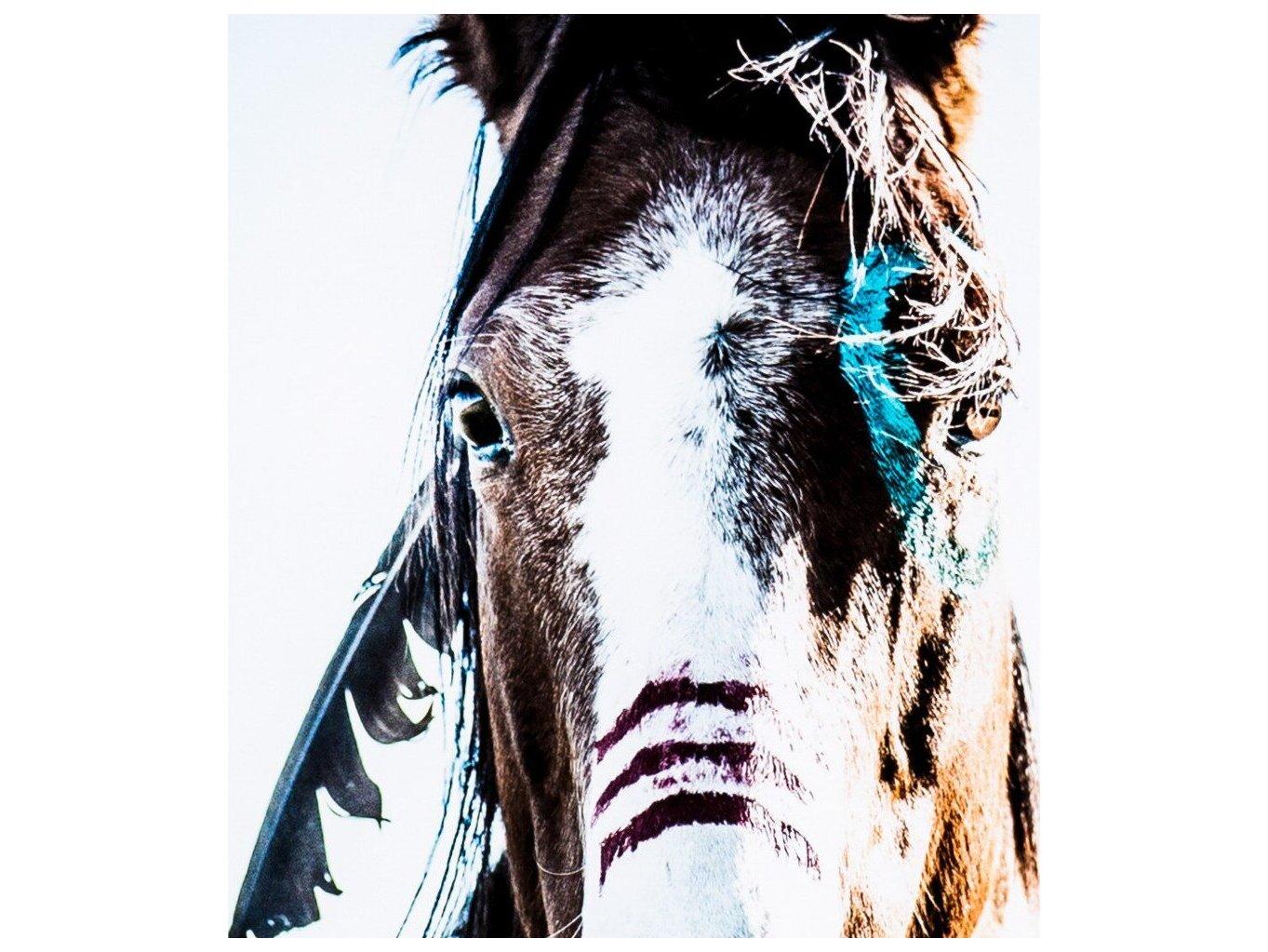 Four Hands Art Studio War Horse Walnut  Canvas Wall Art