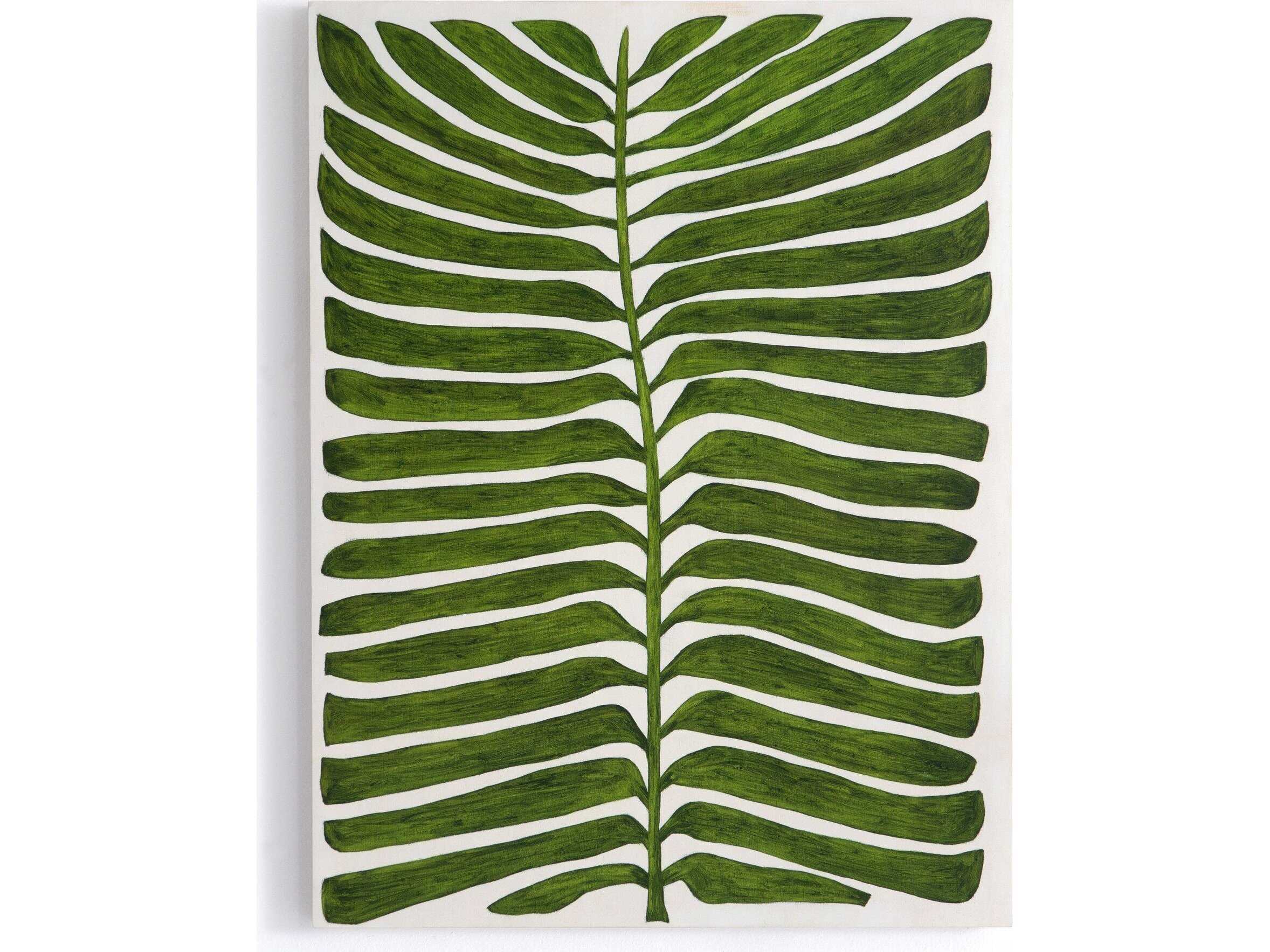 Four Hands Art Studio Deplazium by Marianne Hendriks Maple Box  Canvas Wall Art