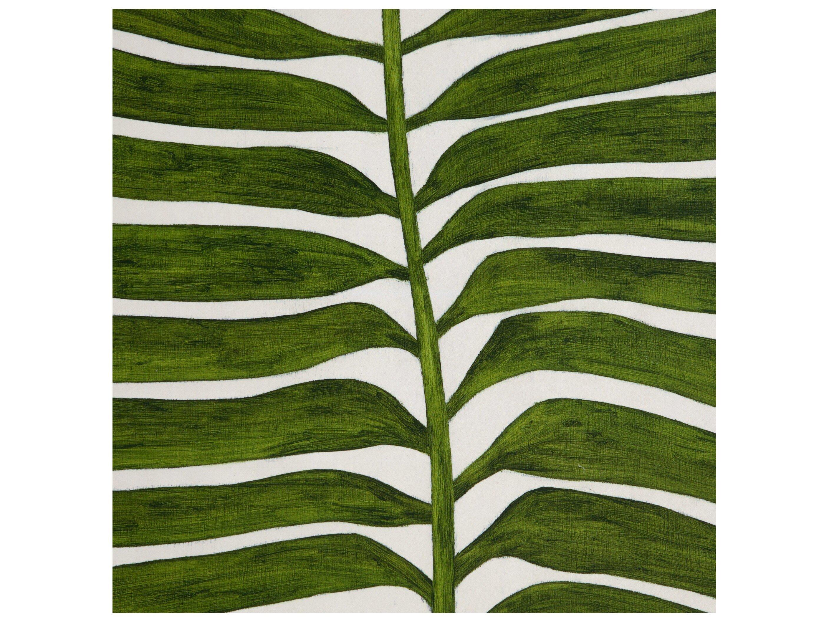 Four Hands Art Studio Deplazium by Marianne Hendriks Maple Box  Canvas Wall Art