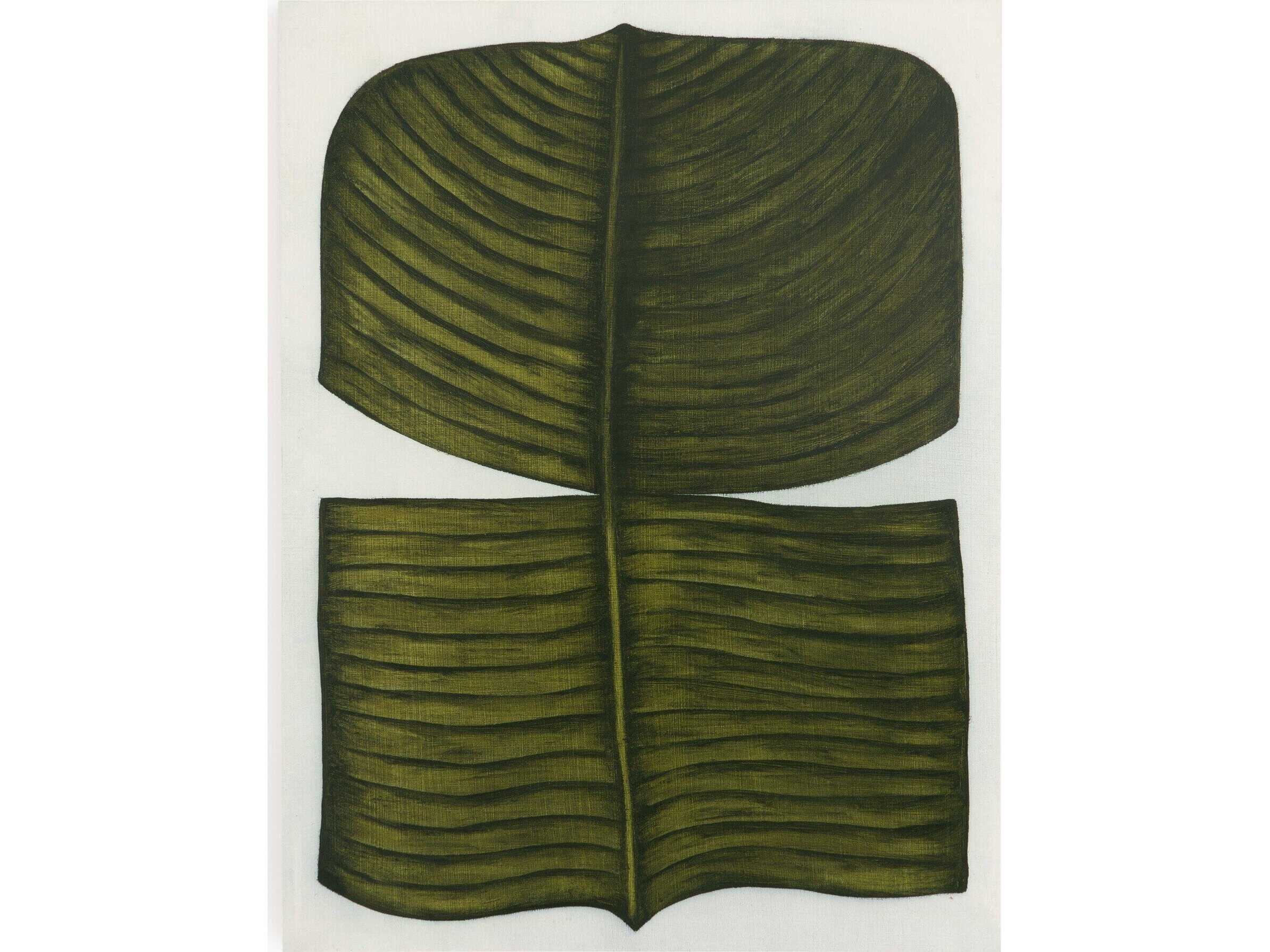 Four Hands Art Studio Ficus Elastica by Marianne Hendriks Maple Box  Canvas Wall Art