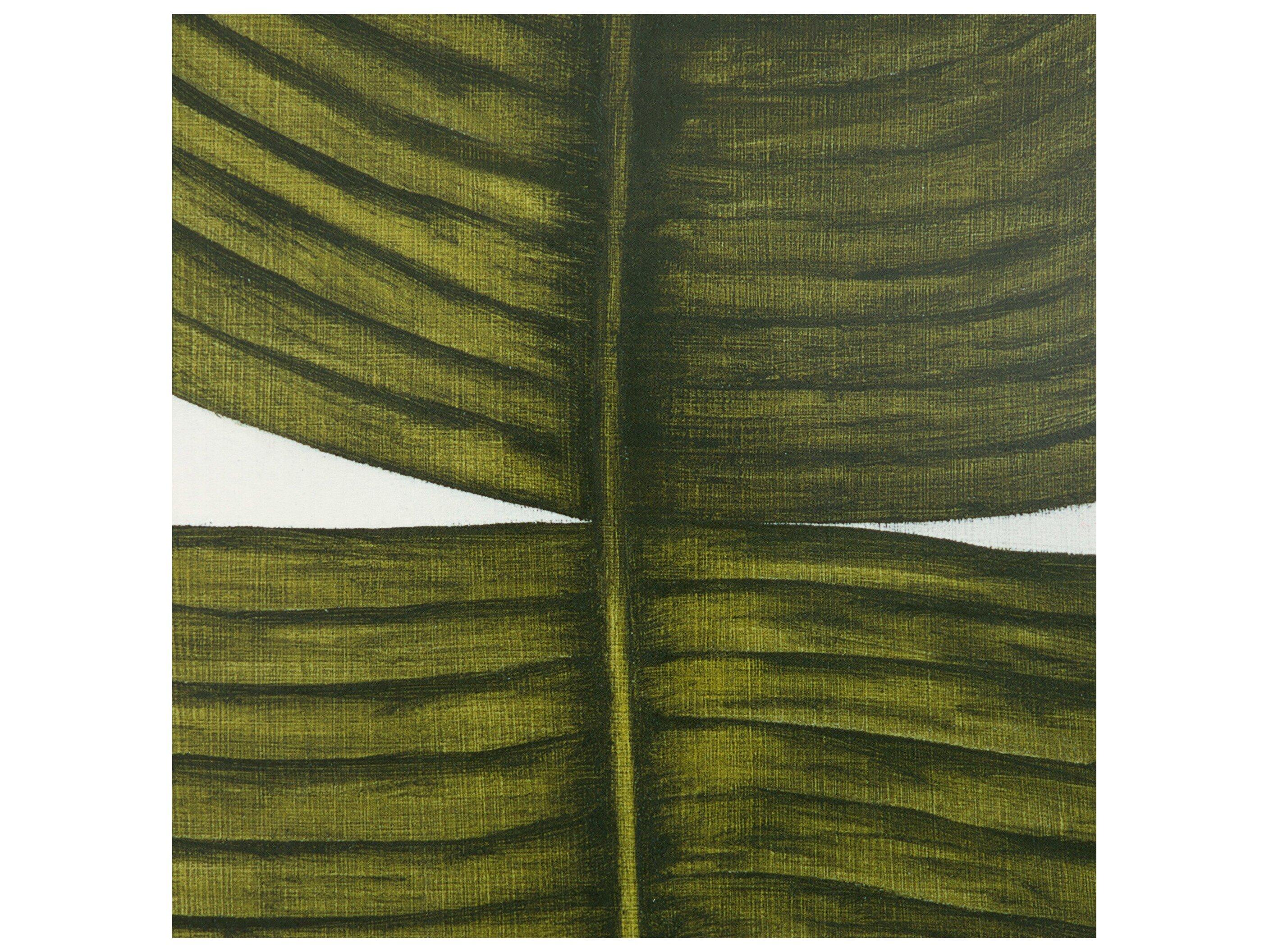 Four Hands Art Studio Ficus Elastica by Marianne Hendriks Maple Box  Canvas Wall Art