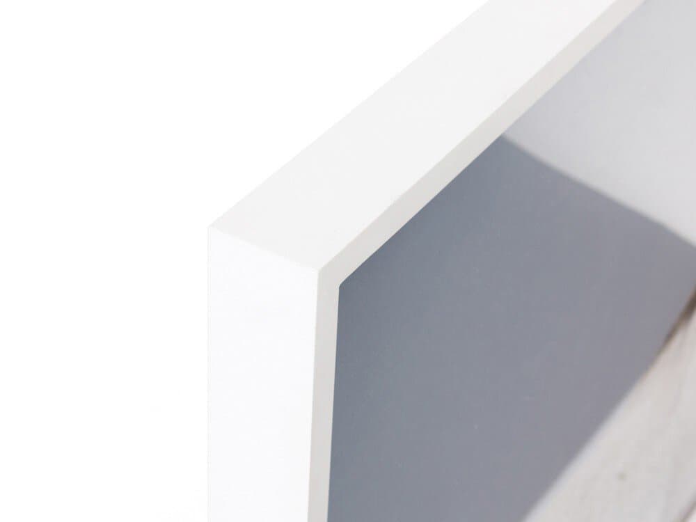 Four Hands Art Studio Graze White Maple Floater  Canvas Wall Art