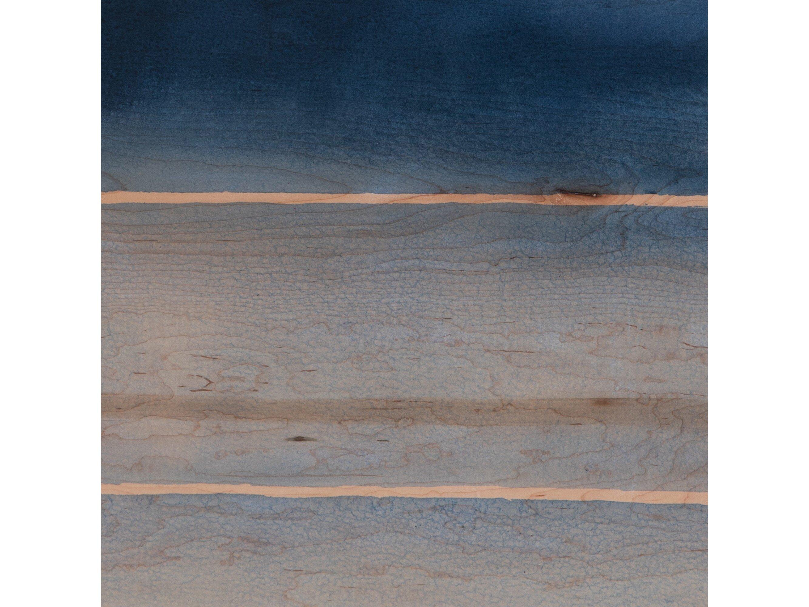 Four Hands Art Studio Maple Box Deep End Diptych By Jess Engle Canvas Wall Art Set of 2