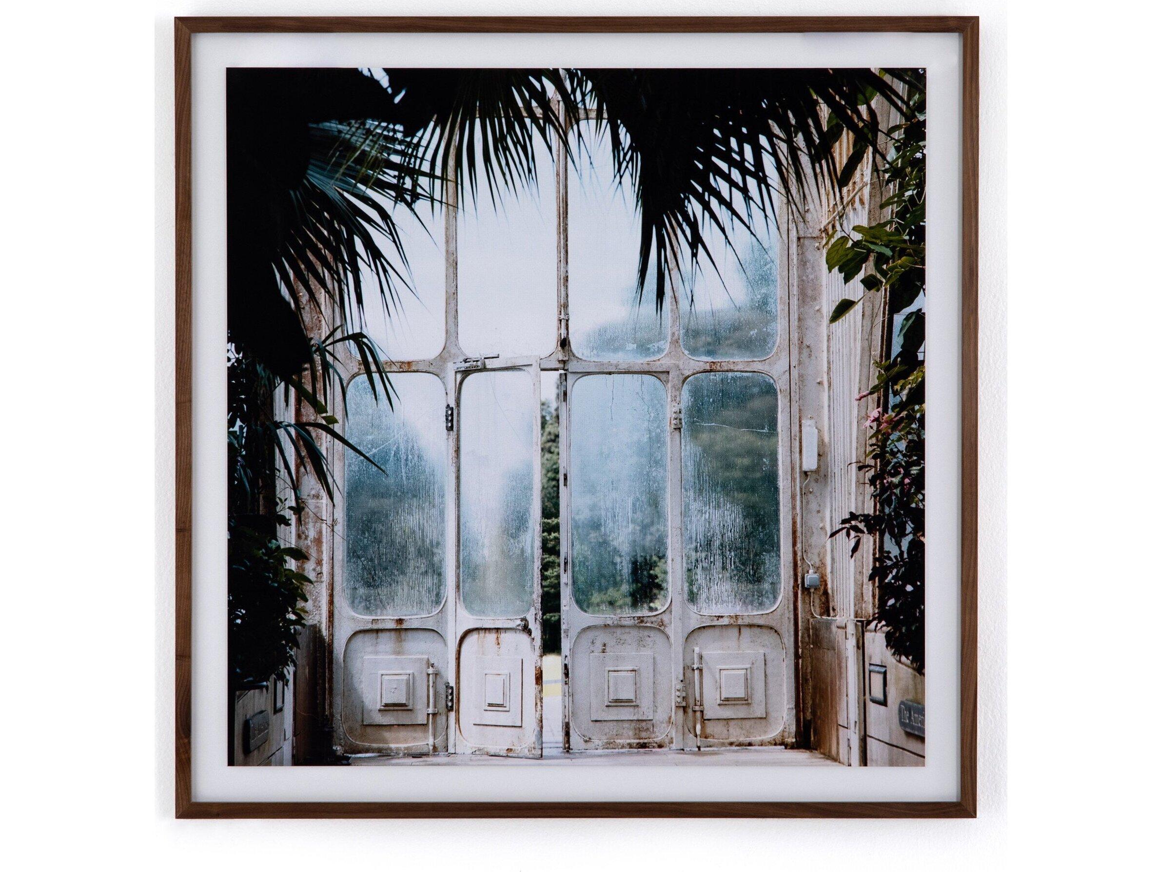 Four Hands Art Studio Acrylic Shadow Box / Walnut / Photo Paper Greenhouse Ii By Annie Spratt Wall Art