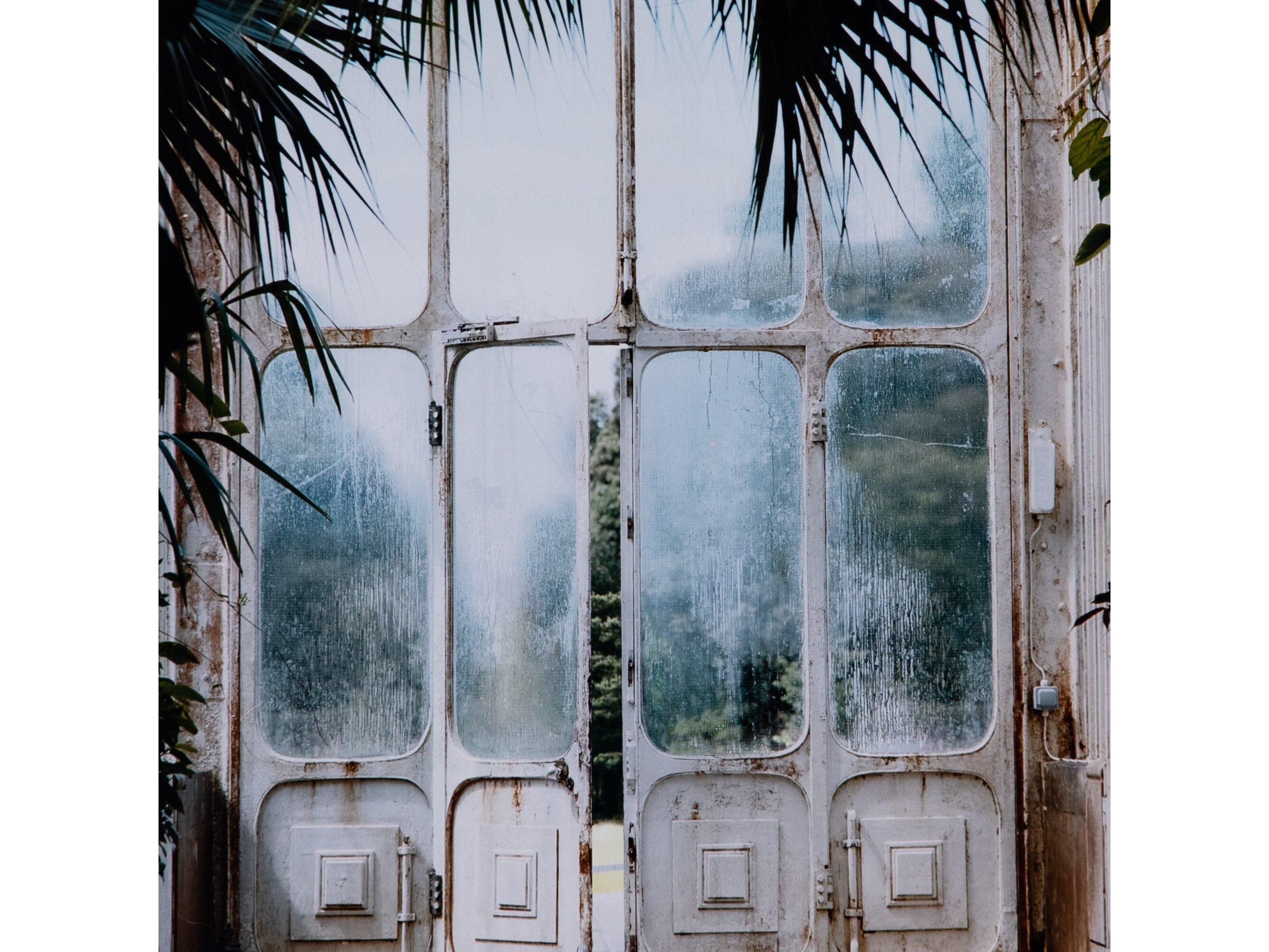 Four Hands Art Studio Acrylic Shadow Box / Walnut / Photo Paper Greenhouse Ii By Annie Spratt Wall Art