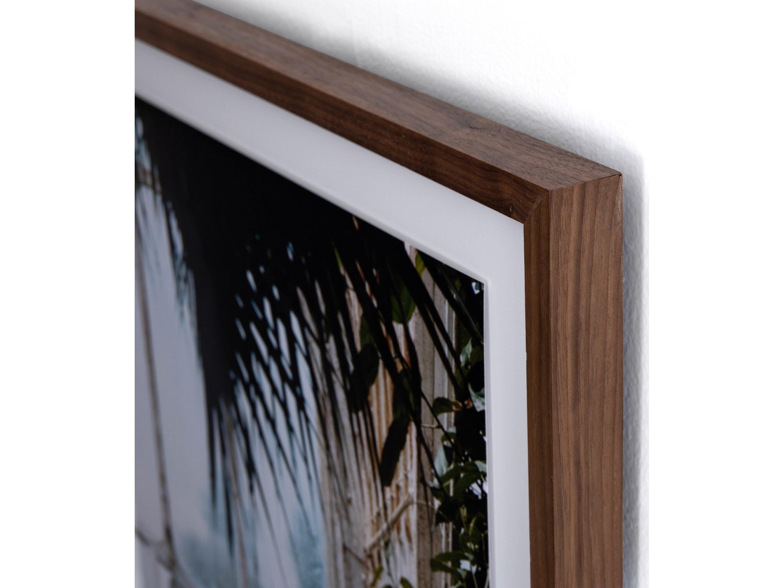 Four Hands Art Studio Greenhouse II by Annie Spratt Walnut  Canvas Wall Art