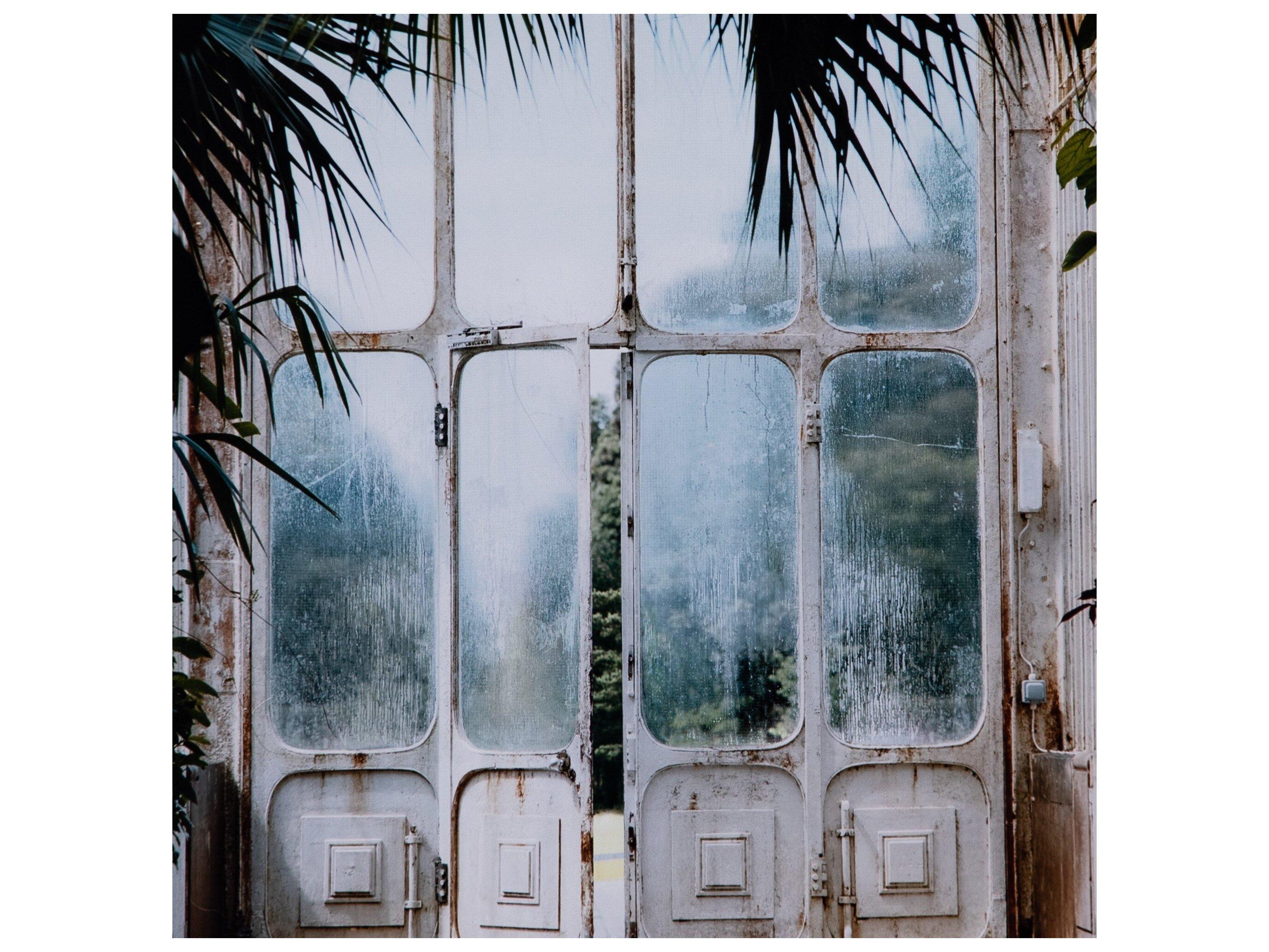 Four Hands Art Studio Greenhouse II by Annie Spratt Walnut  Canvas Wall Art