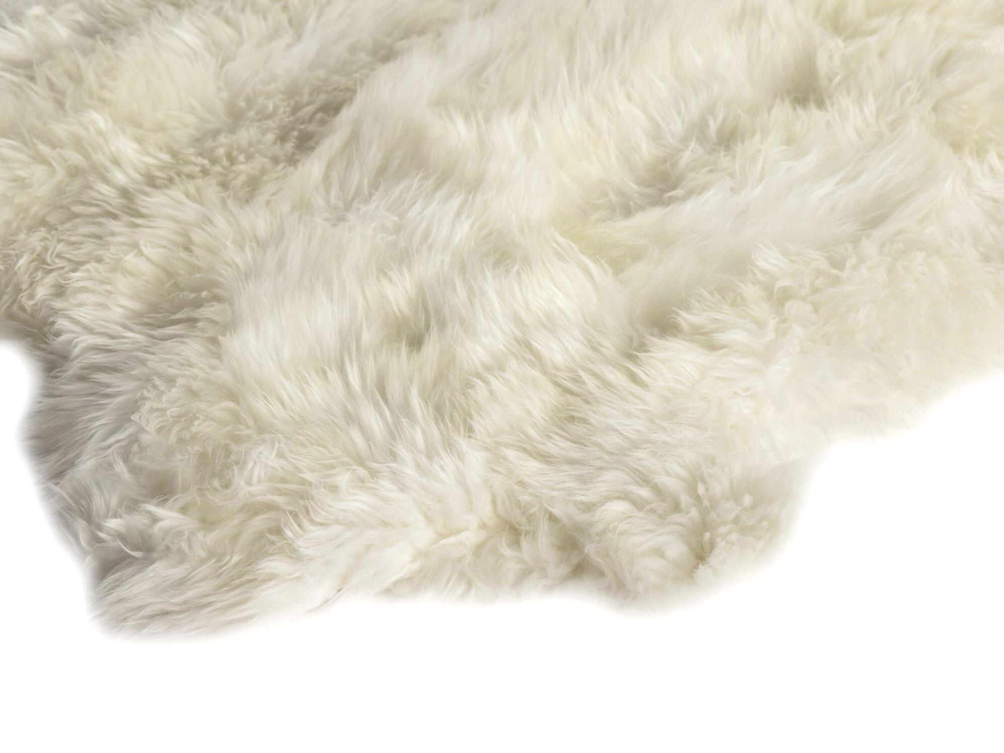 Four Hands Mateo Area Rug