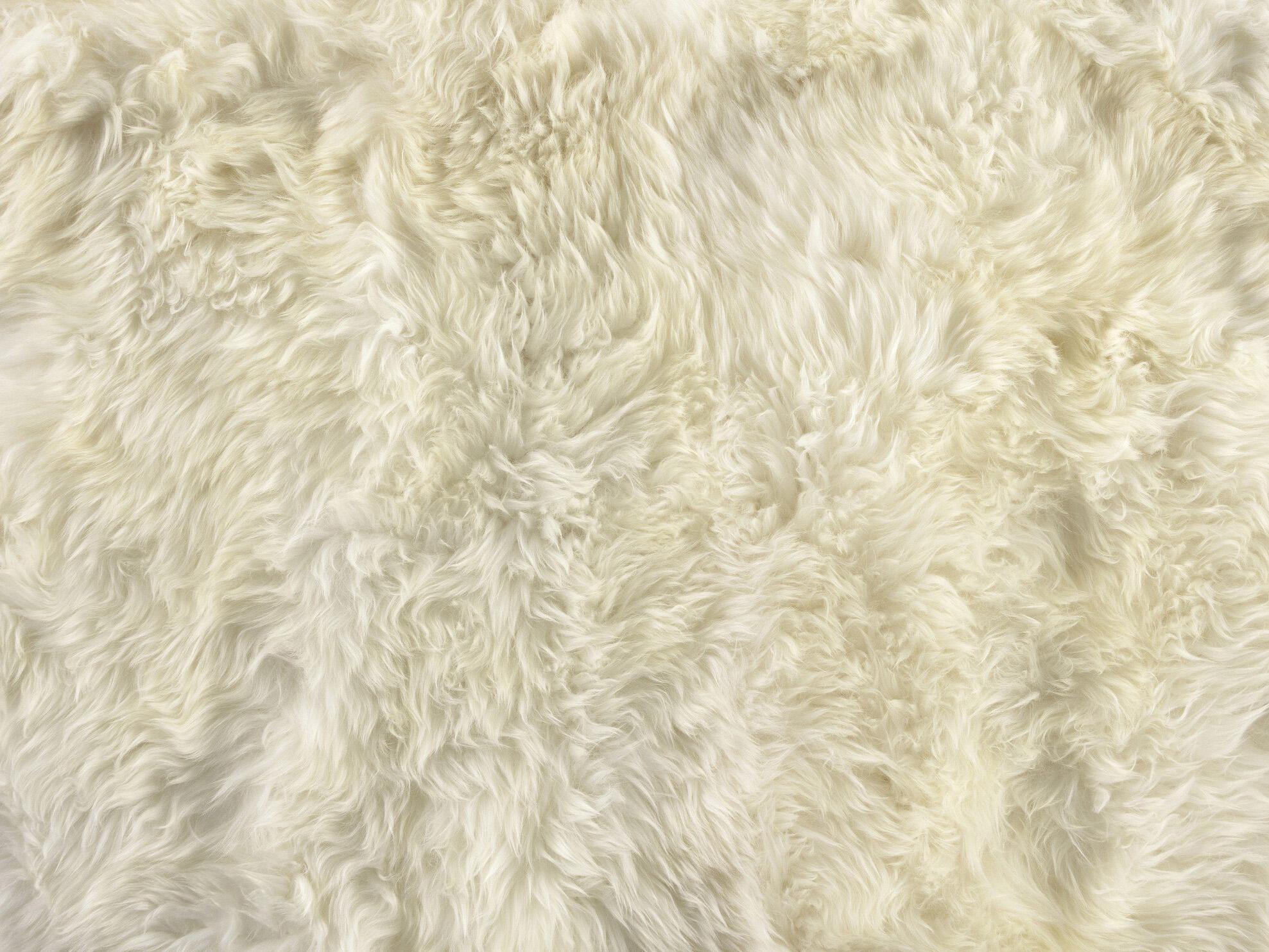 Four Hands Mateo Area Rug