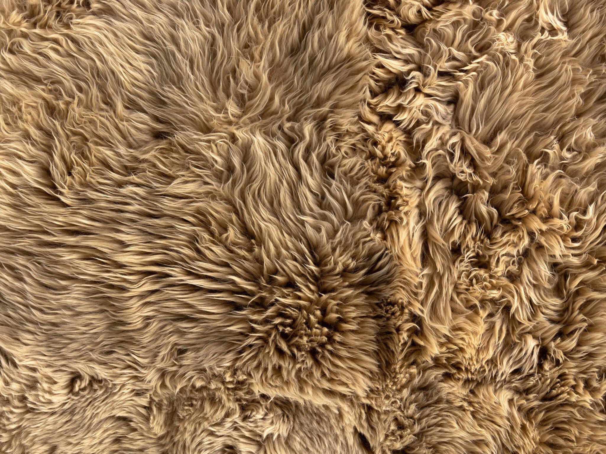 Four Hands Mateo Lalo 5 x 8 Beige Lambskin Rug